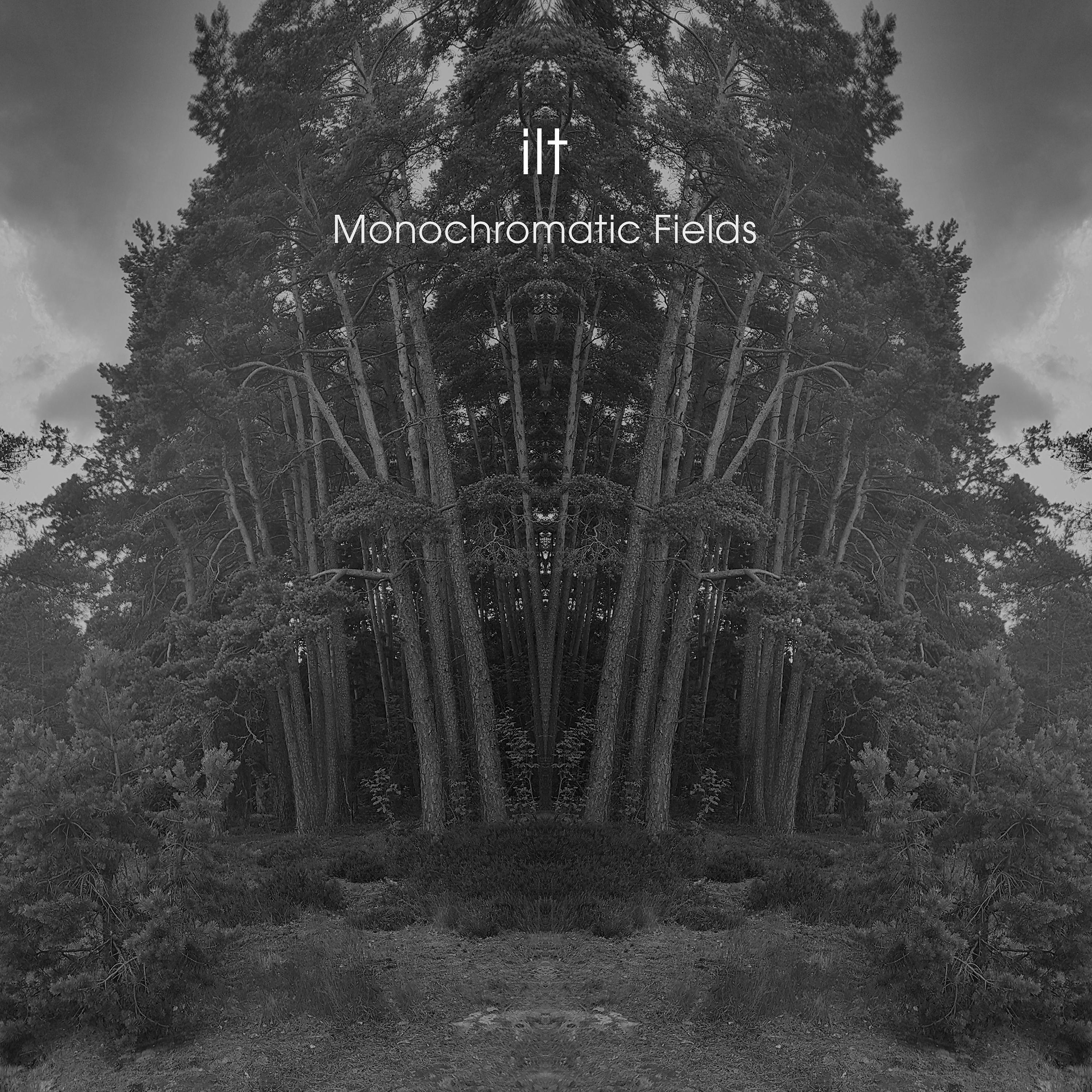 Постер альбома Monochromatic Fields