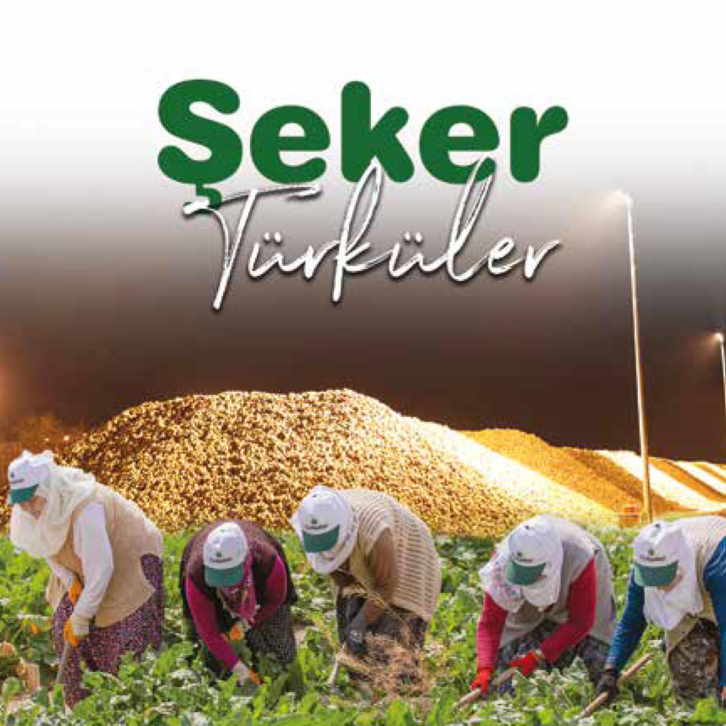 Постер альбома Şeker Türküler