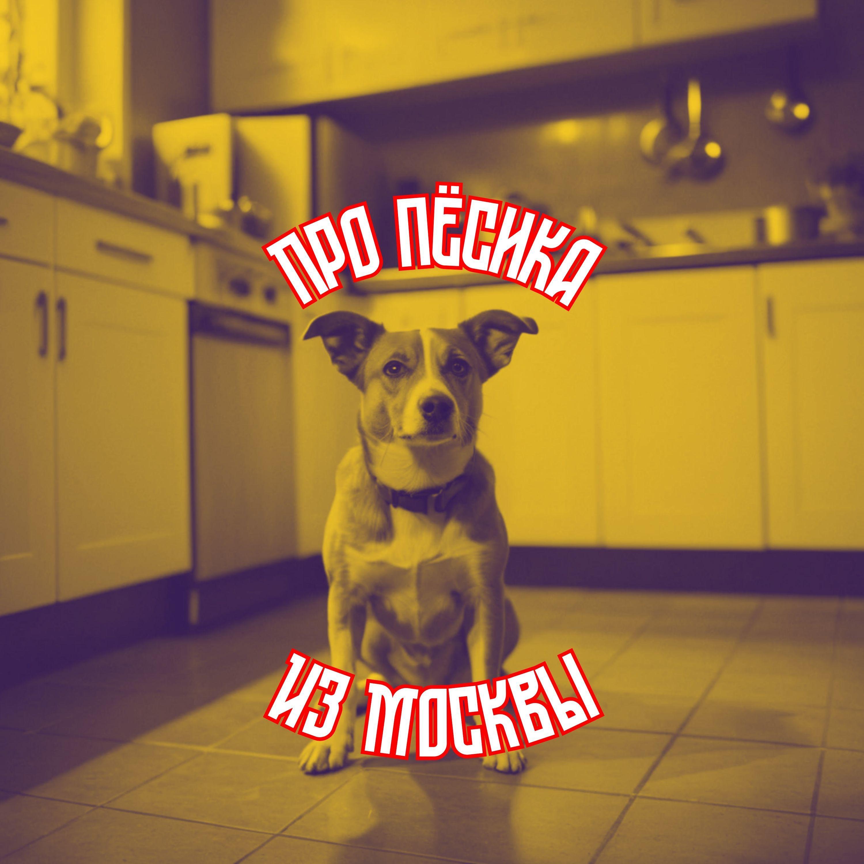 Постер альбома Про пёсика из Москвы