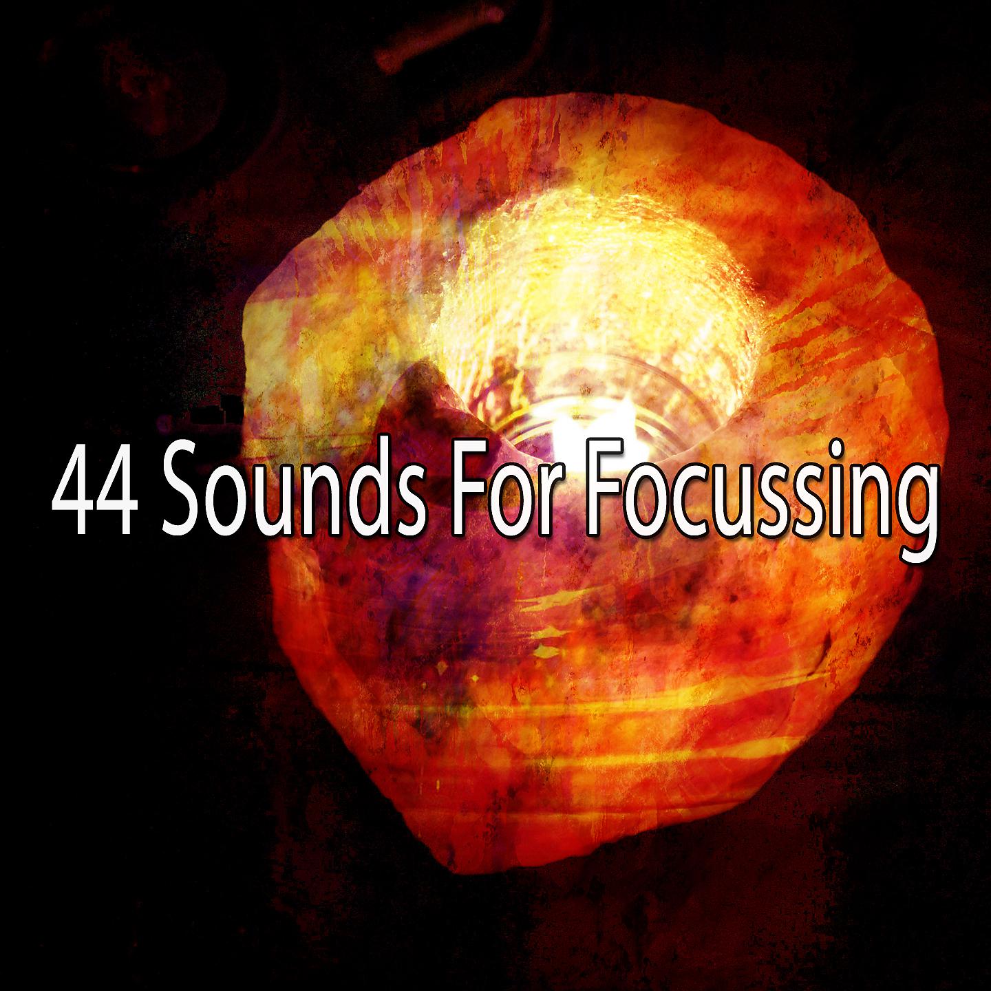 Постер альбома 44 звука для фокусировки