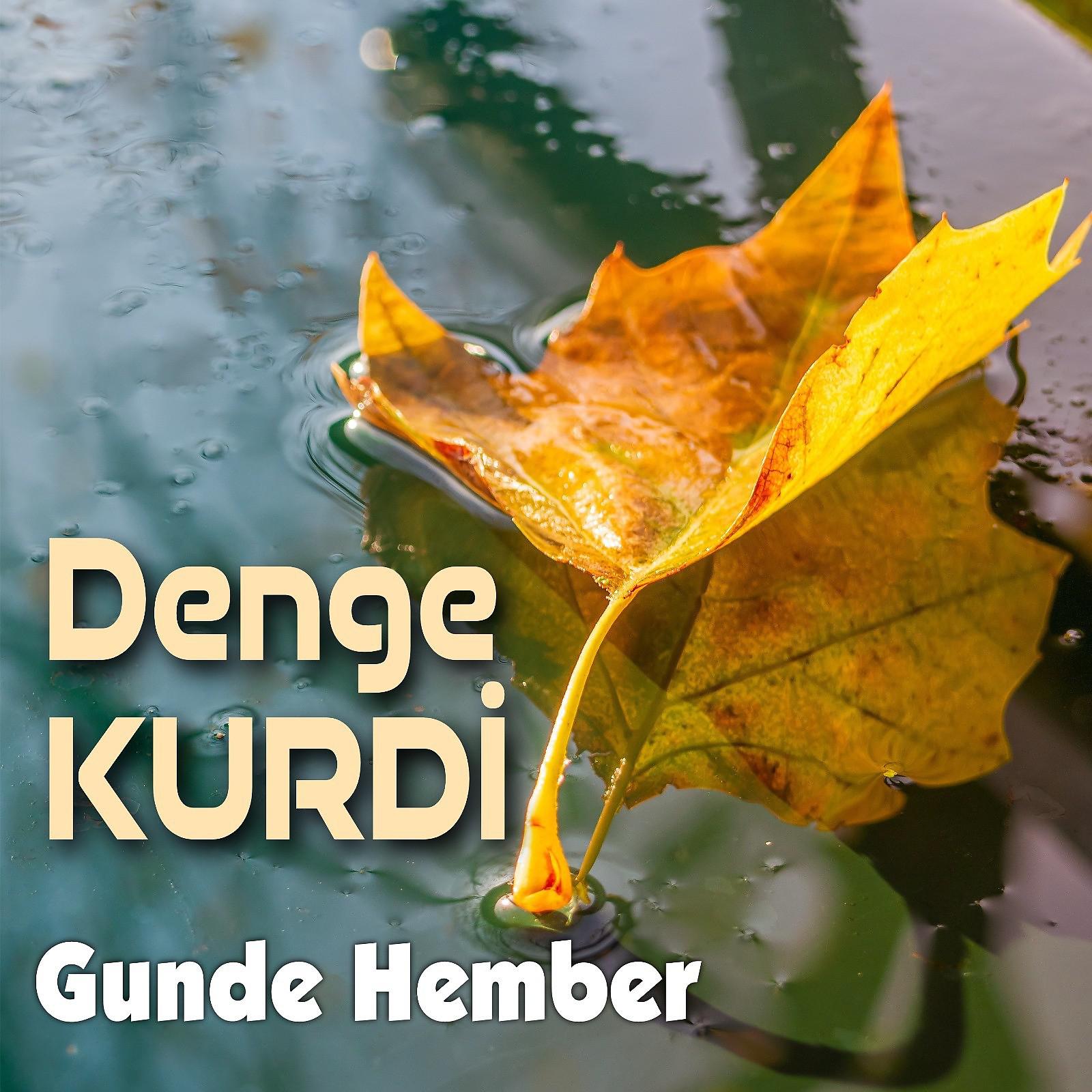 Постер альбома Gunde Hember
