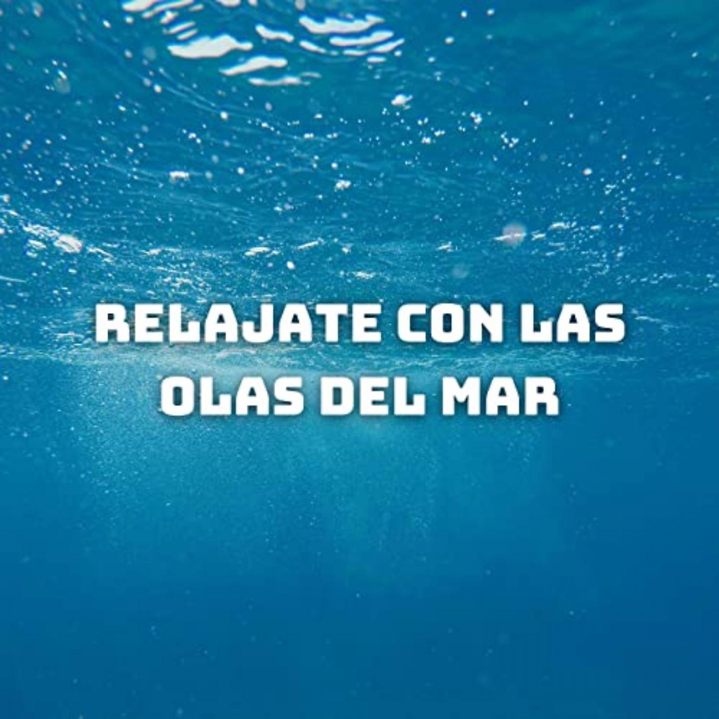 Постер альбома Relájate Con Las Olas Del Mar
