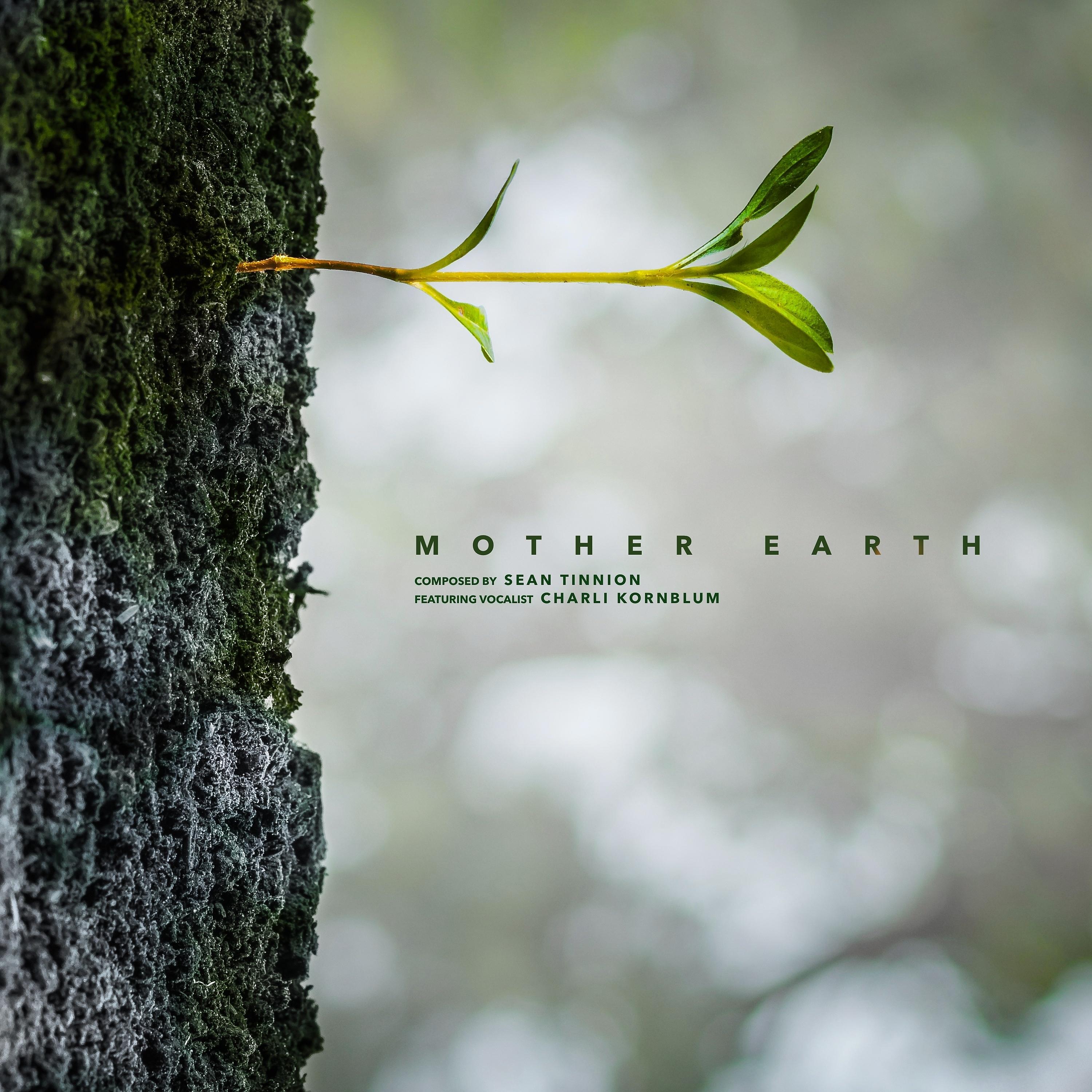 Постер альбома Mother Earth (feat. Charli Kornblum)