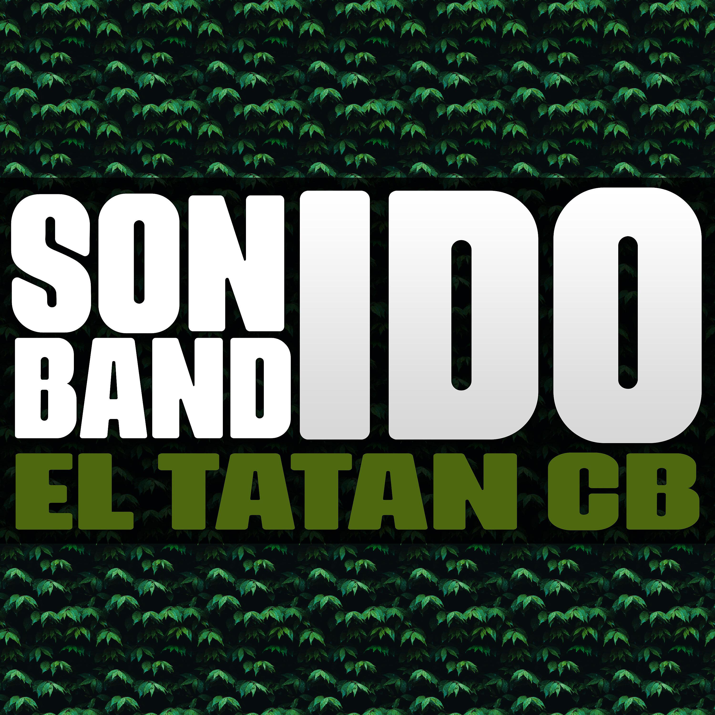 Постер альбома Sonido Bandido