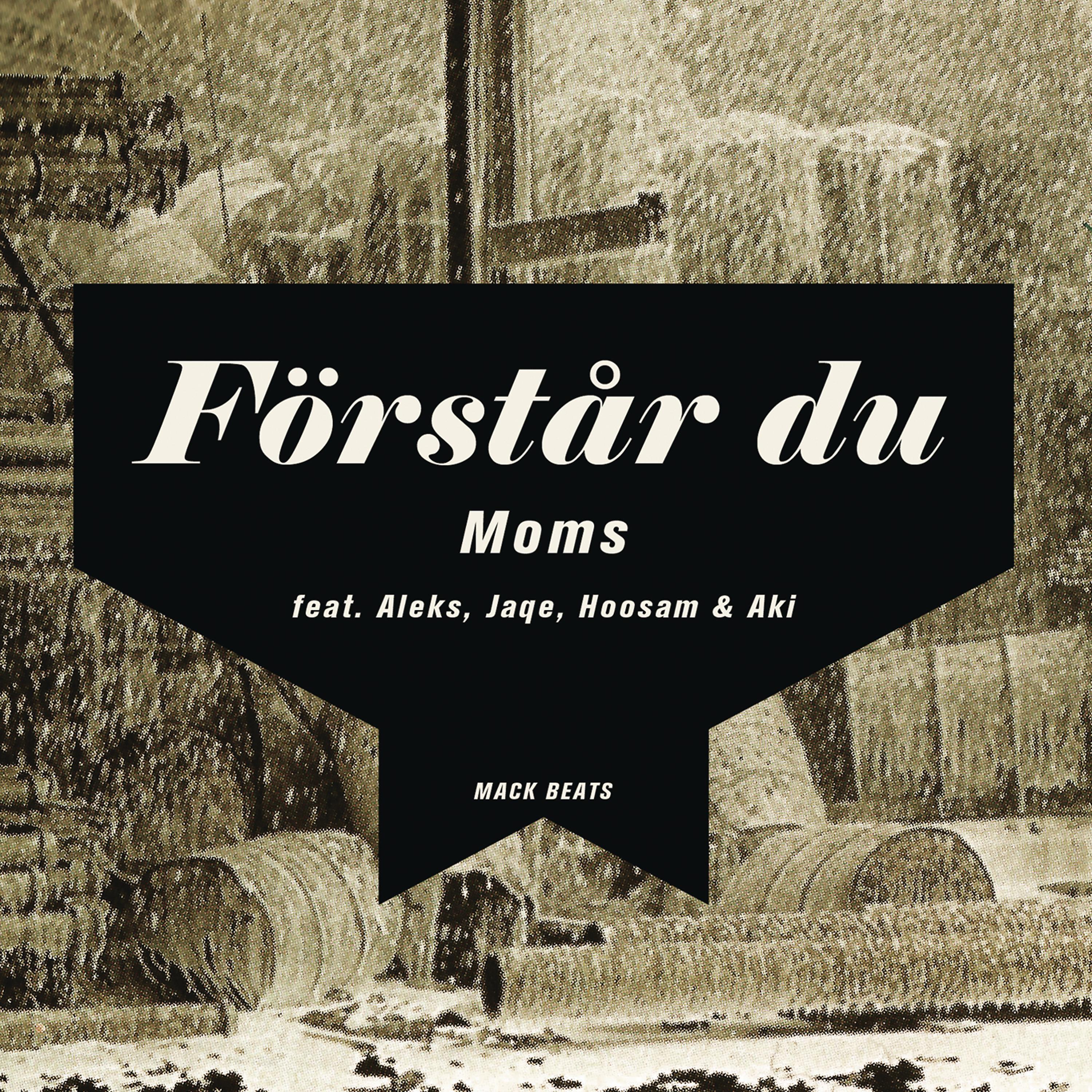 Постер альбома Förstår Du (Remix)
