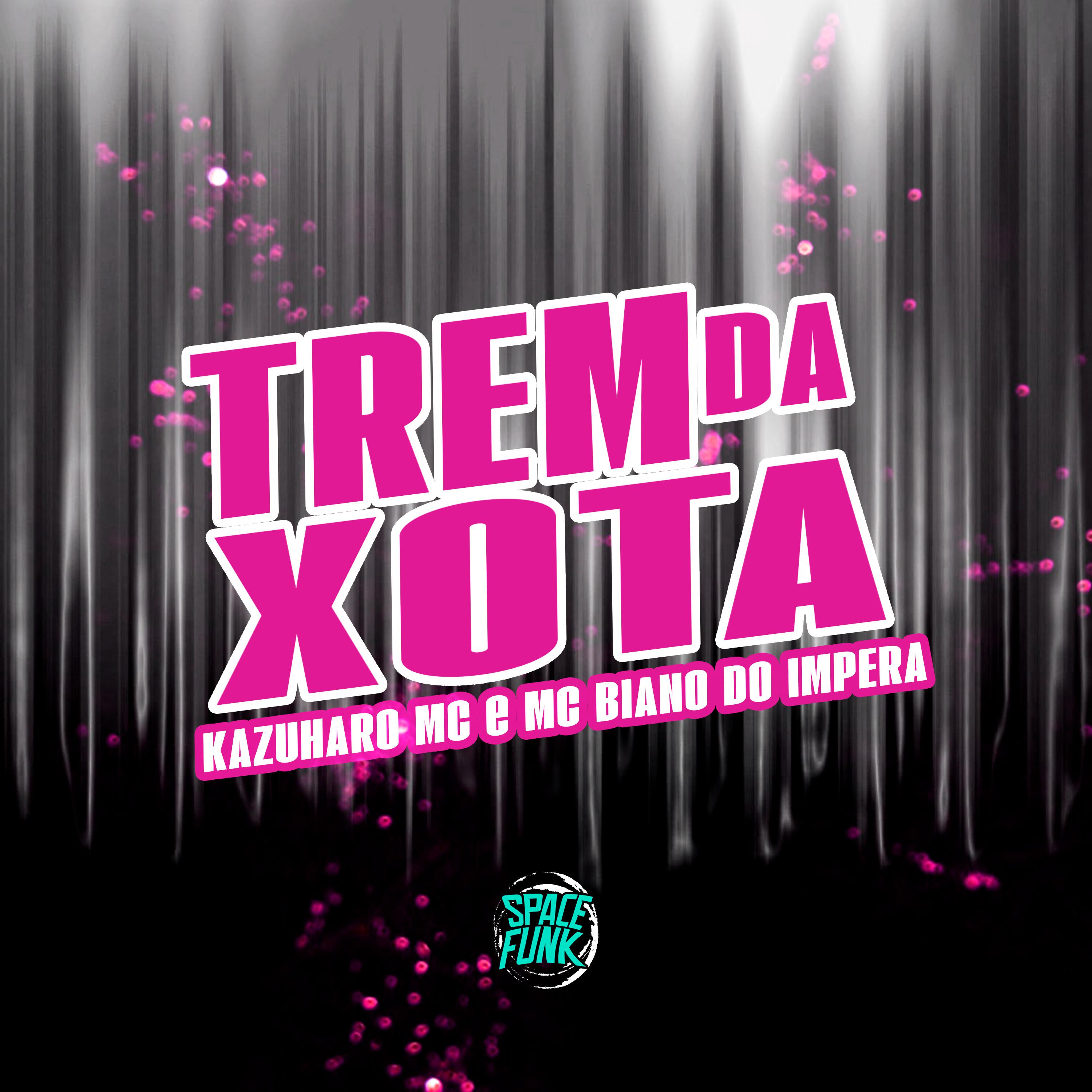 Постер альбома Trem da Xota