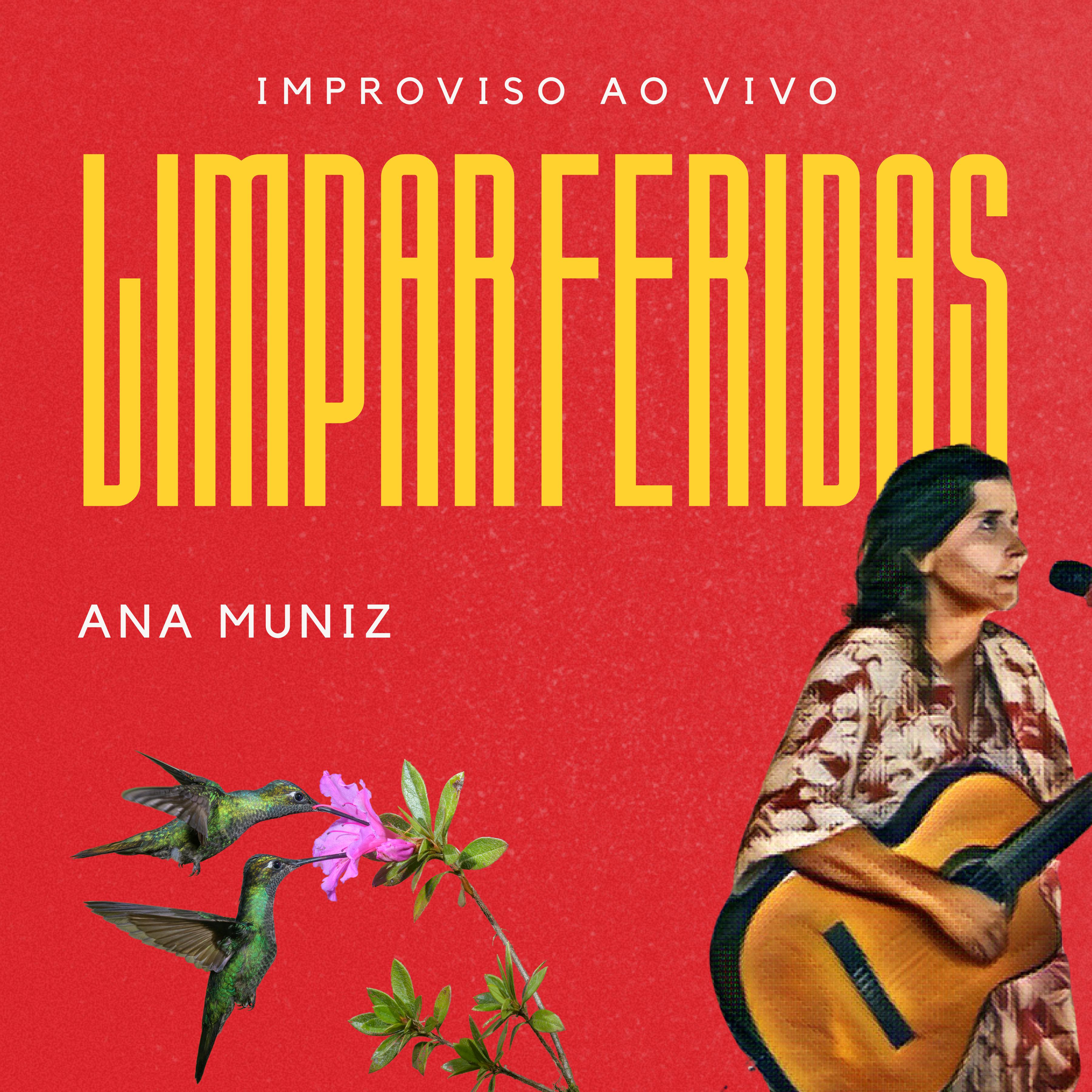 Постер альбома Limpar Feridas - Improviso