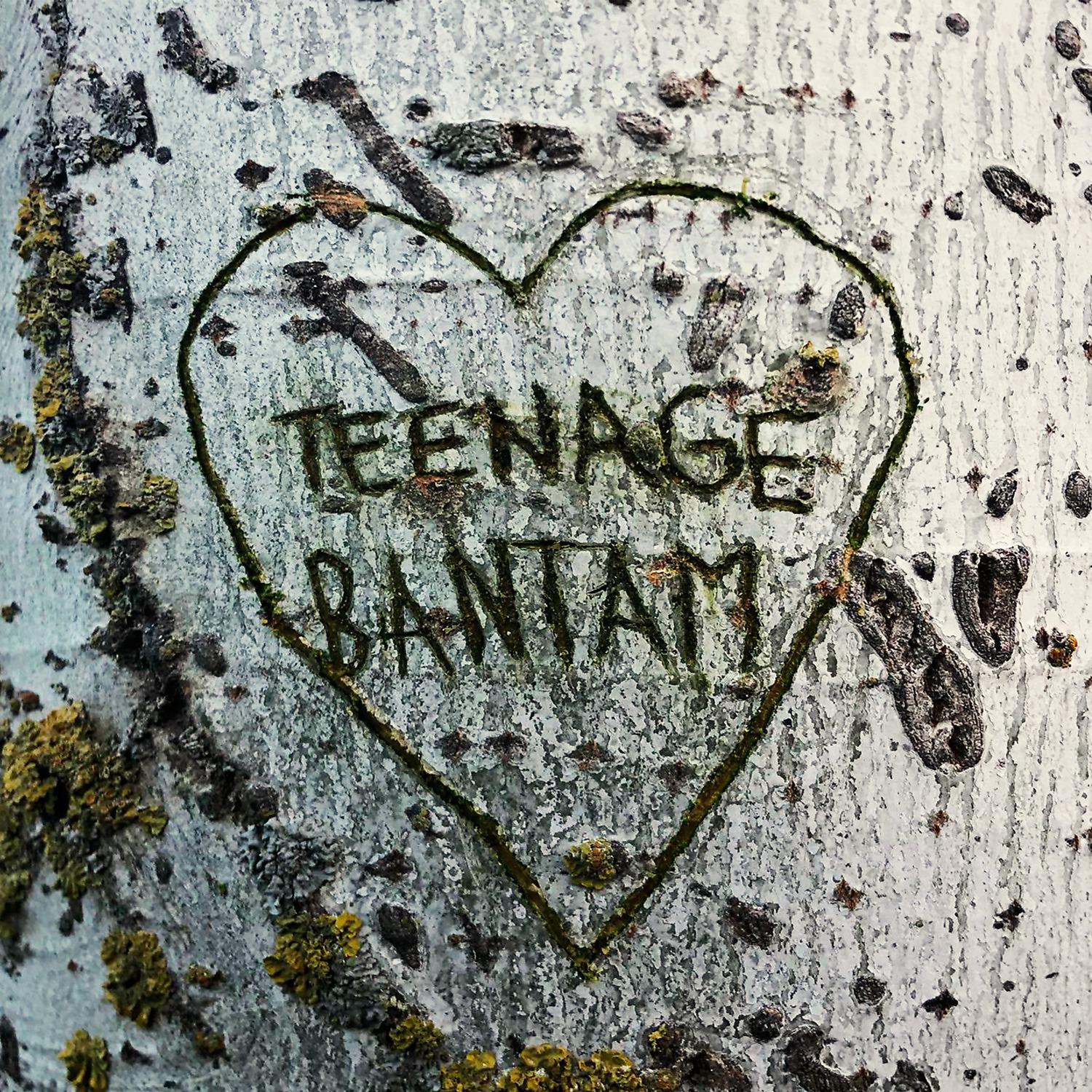 Постер альбома Teenage Bantam