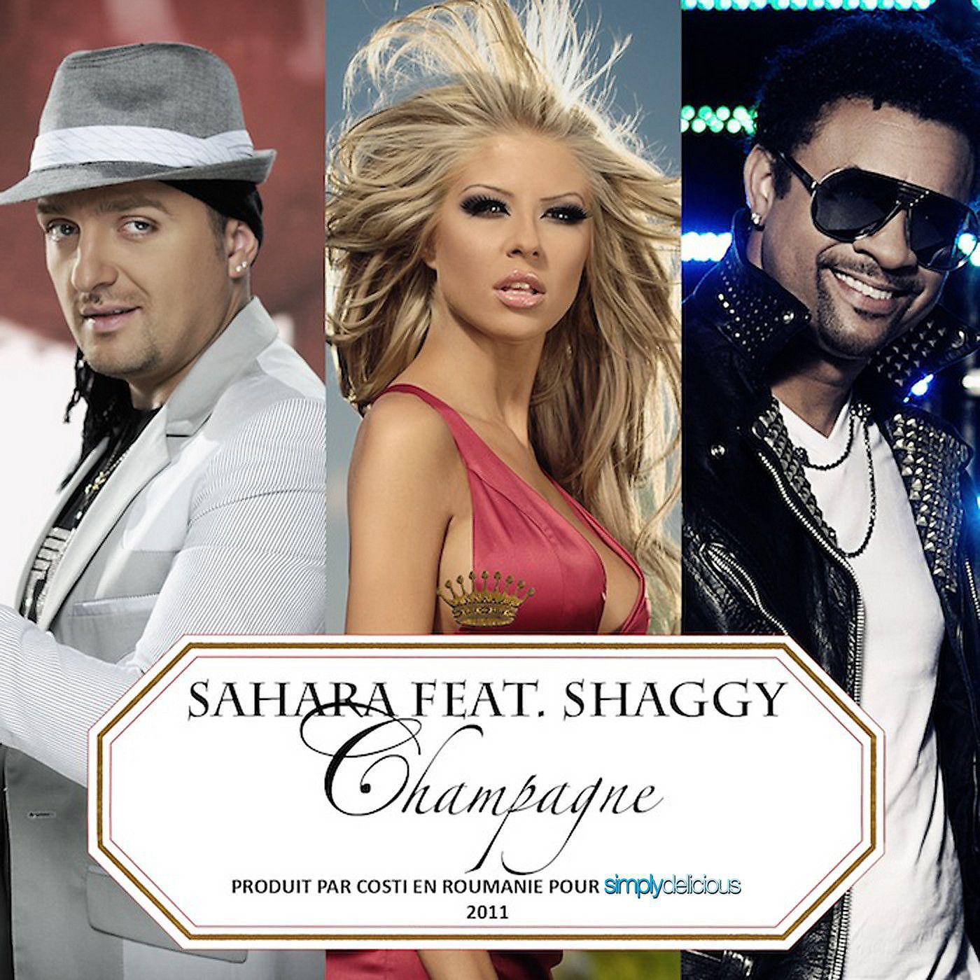 Постер альбома Champagne (feat. Shaggy) [Jump Smokers Radio Mix]