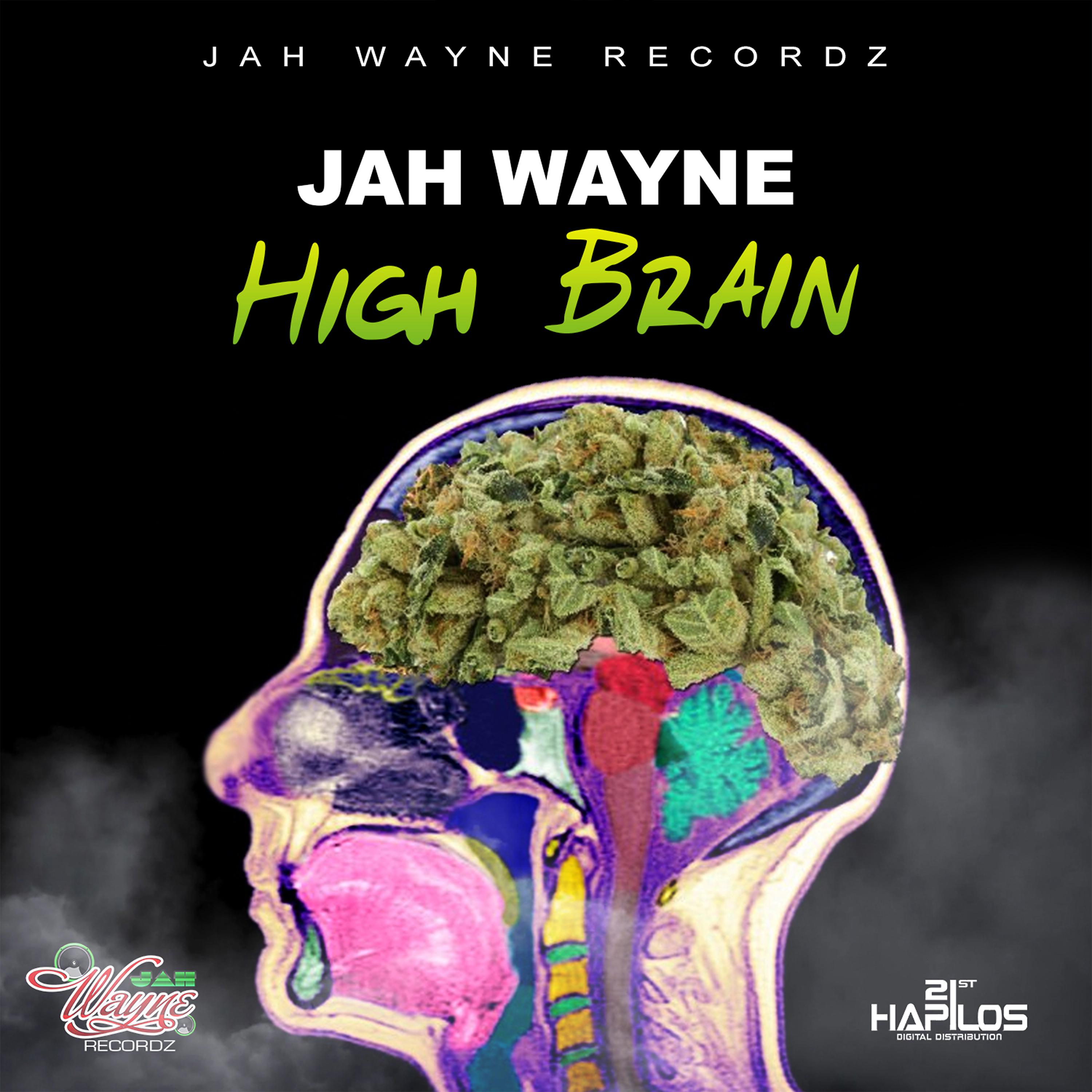 Постер альбома High Brain