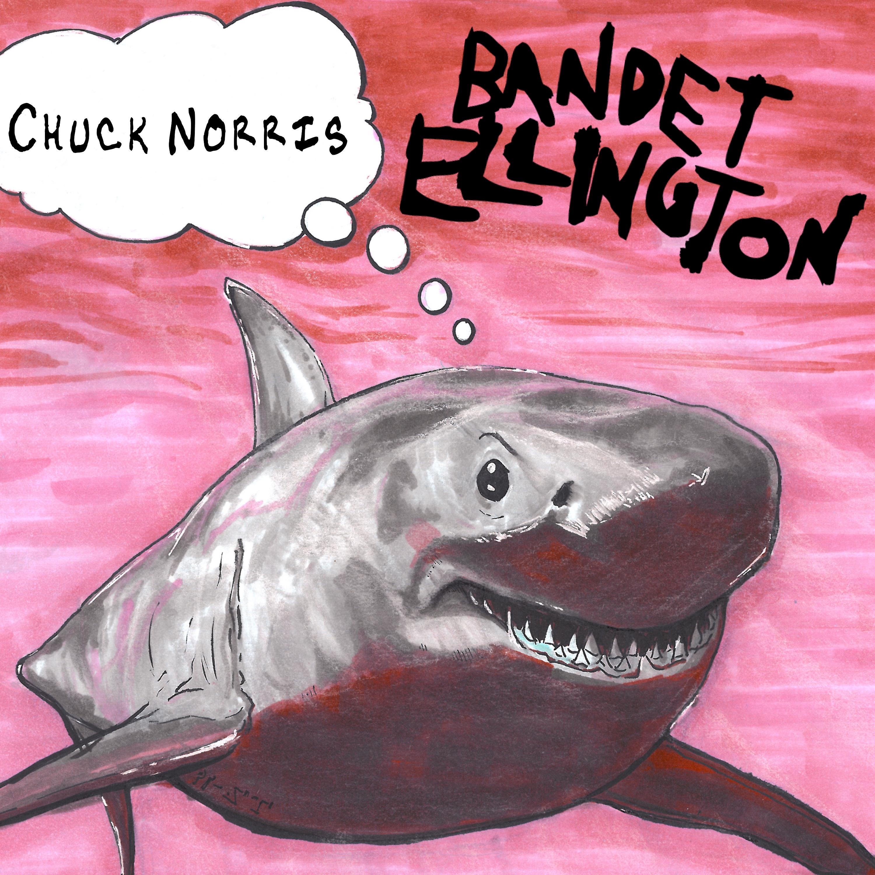 Постер альбома Chuck Norris