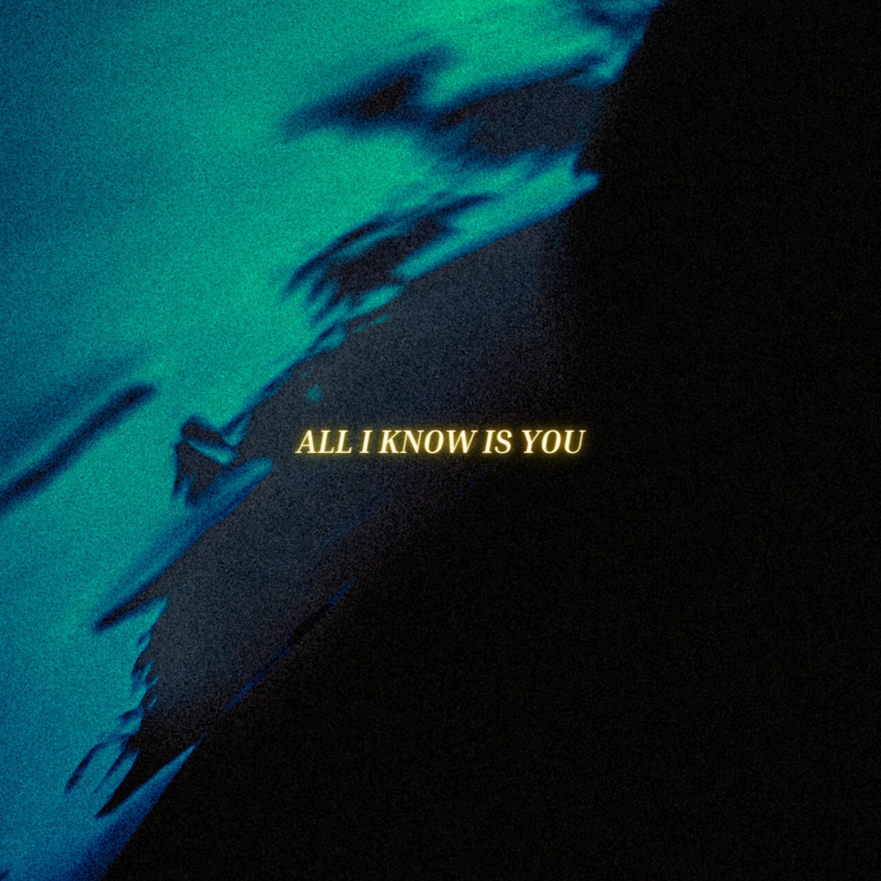 Постер альбома All I Know Is You