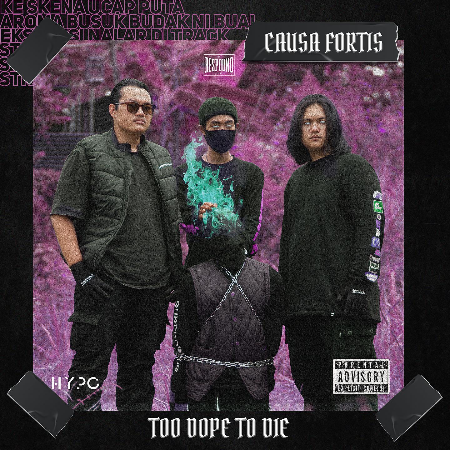 Постер альбома Too Dope To Die