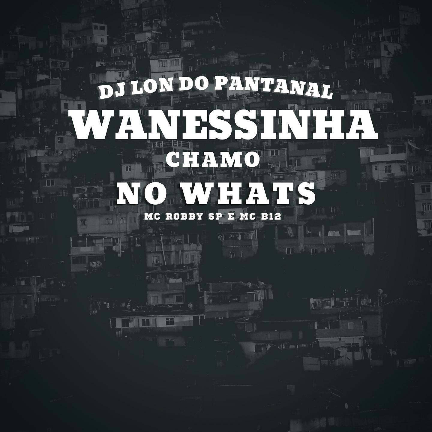 Постер альбома Wanessinha, Chamo No Whats