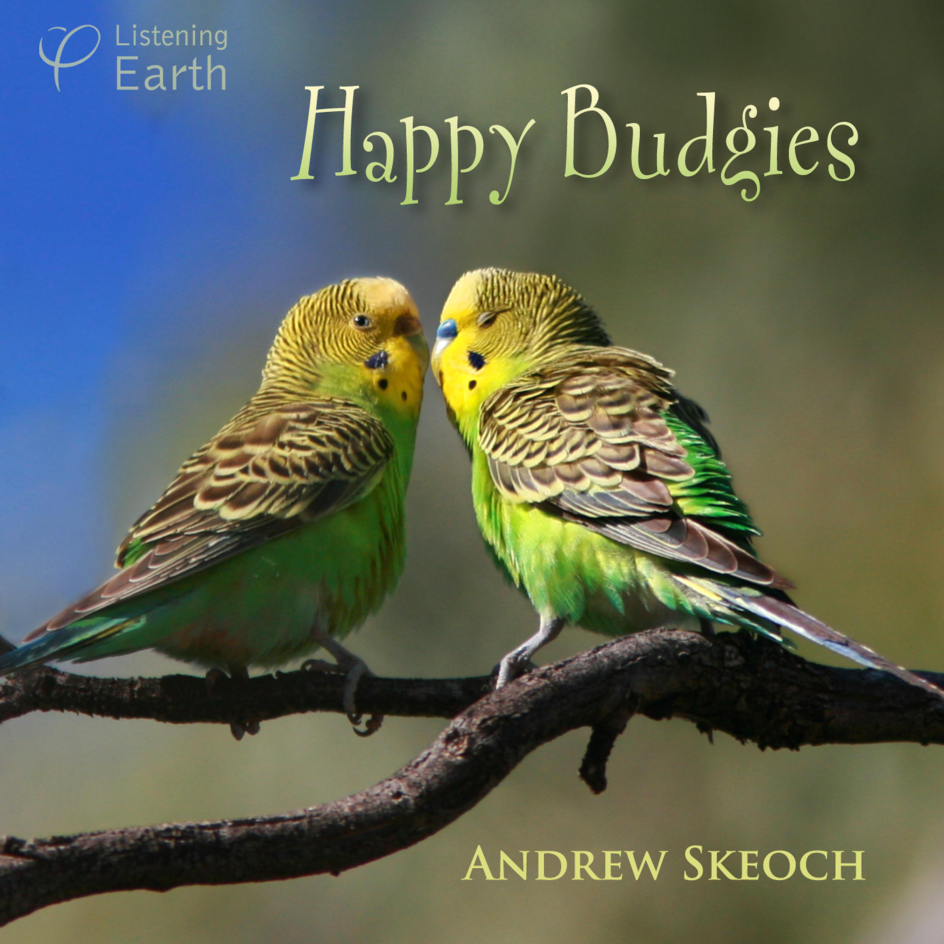 Постер альбома Happy Budgies - the Sounds of Wild Budgerigars