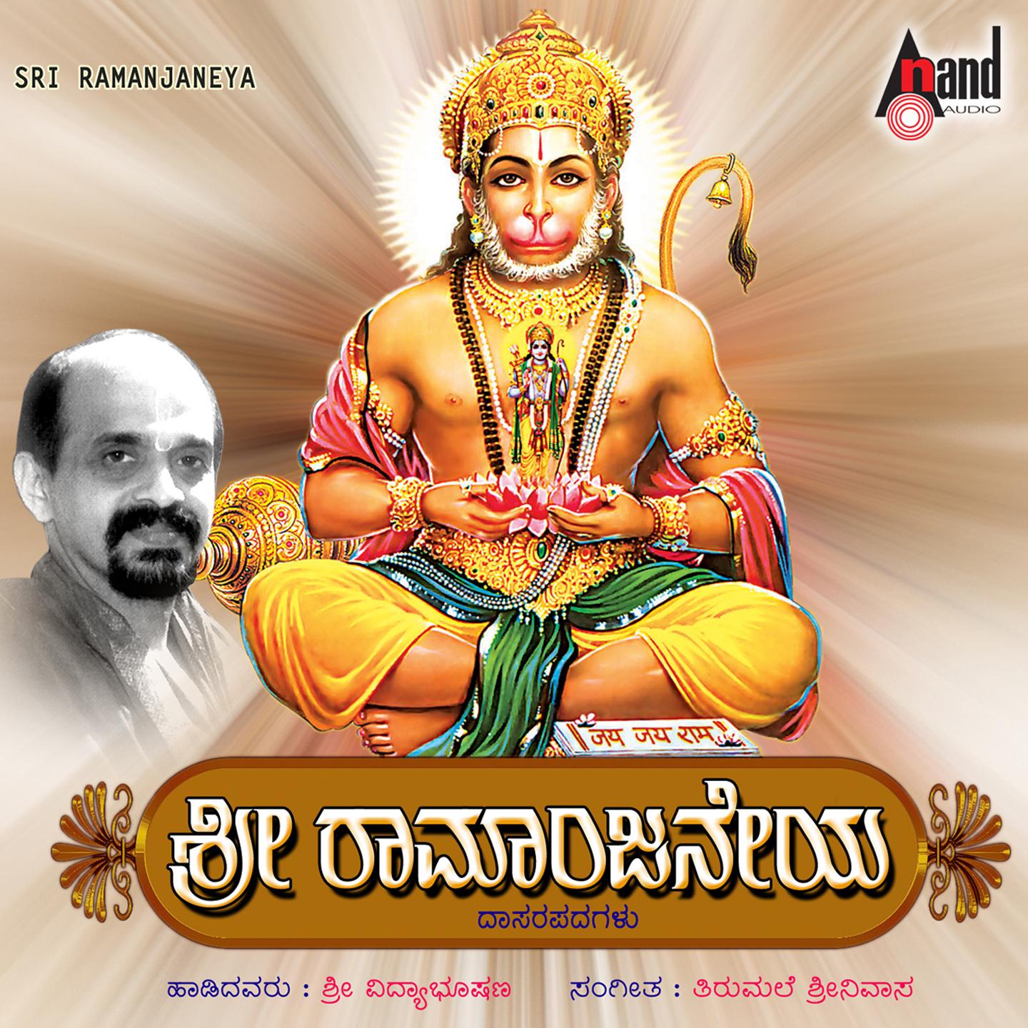 Постер альбома Sri Ramanjaneya