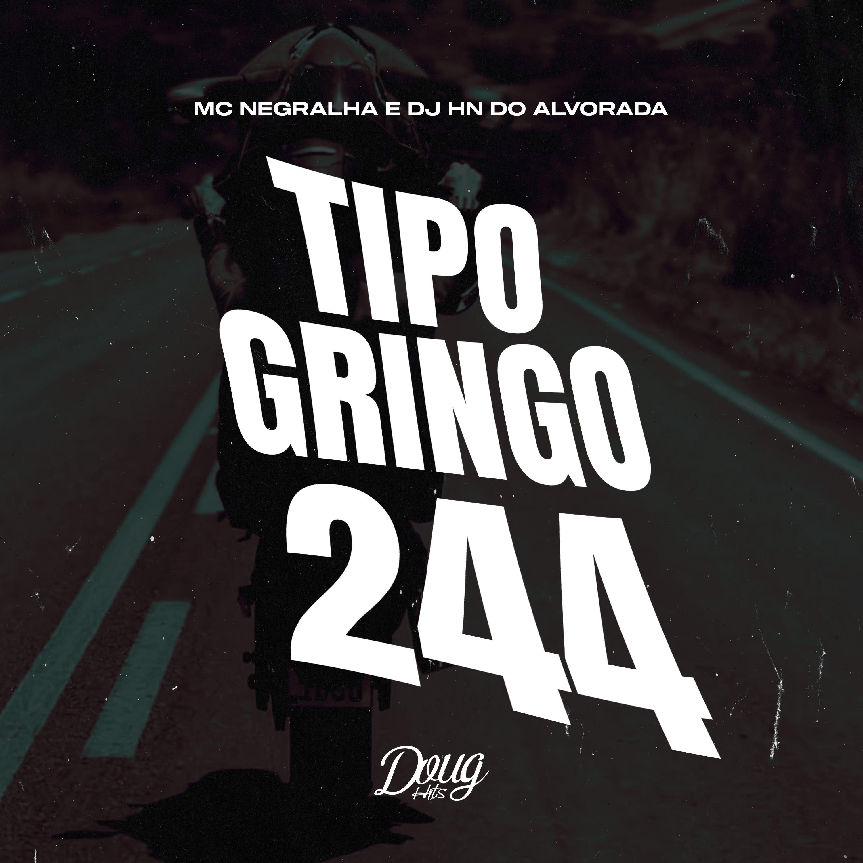 Постер альбома Tipo Gringo 244