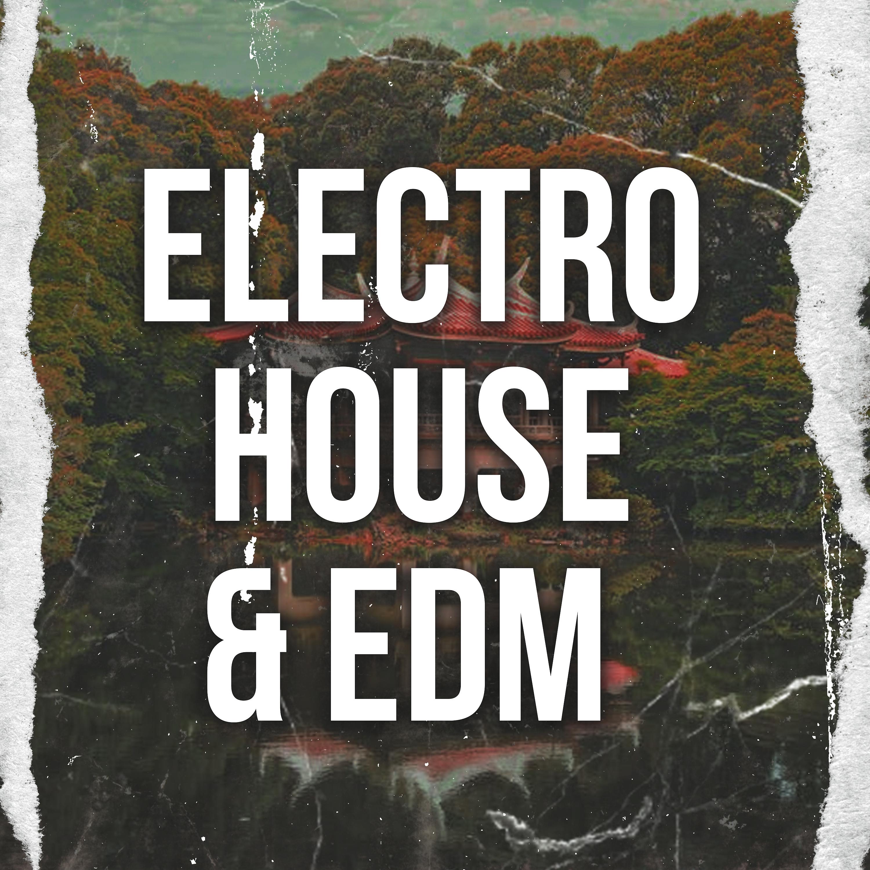 Постер альбома Electro House & Edm