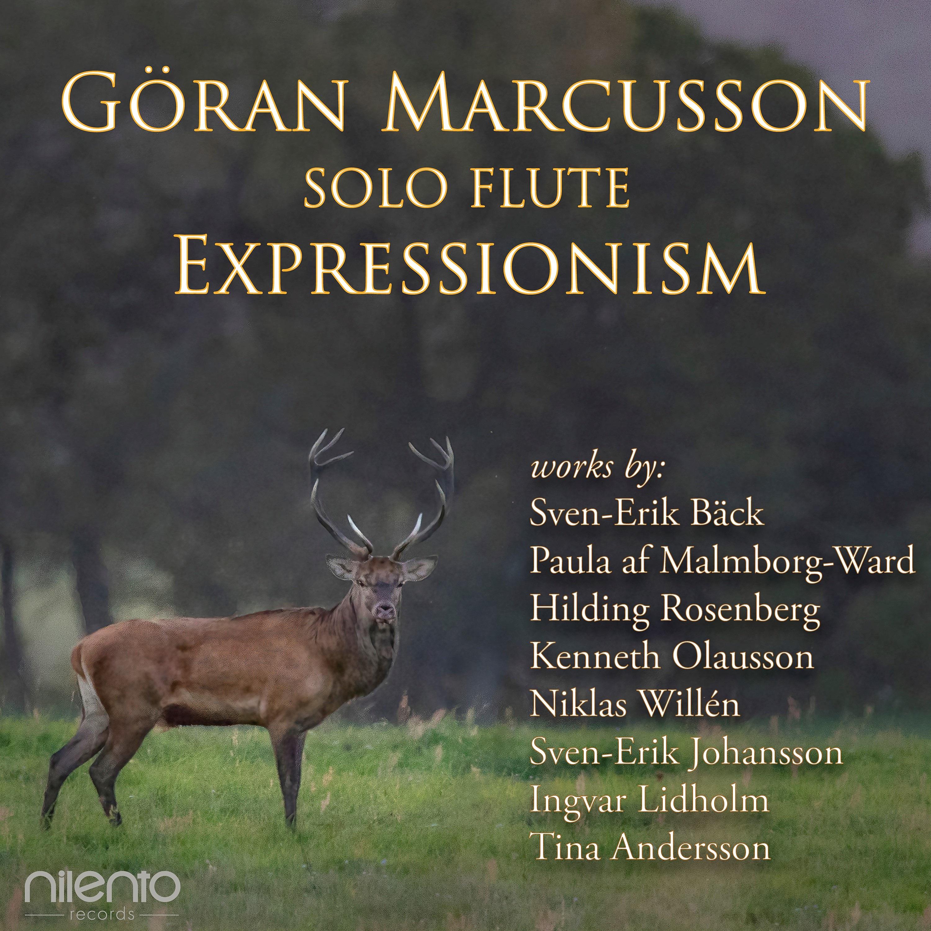 Постер альбома Solo Flute Expressionism
