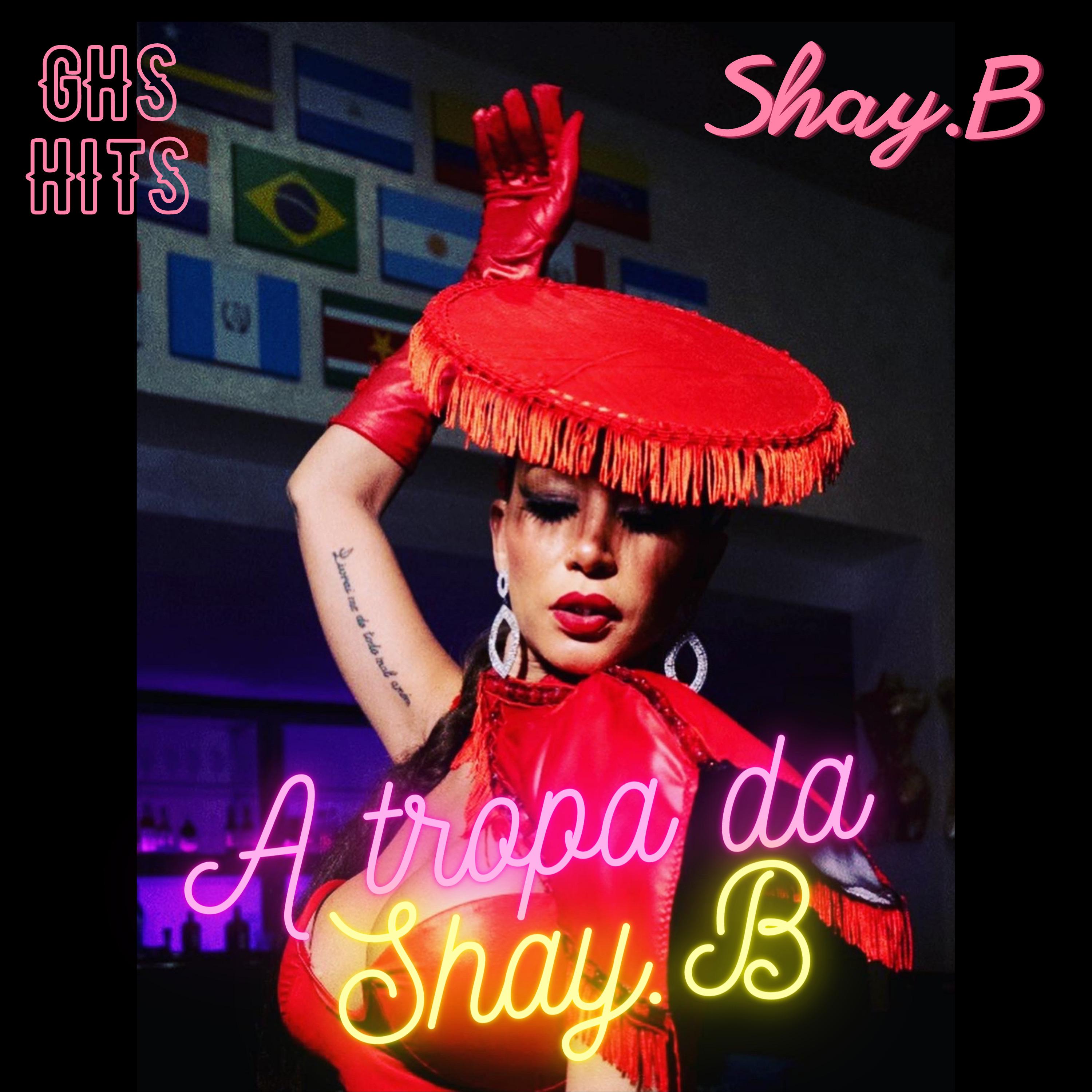Постер альбома A Tropa da Shayb