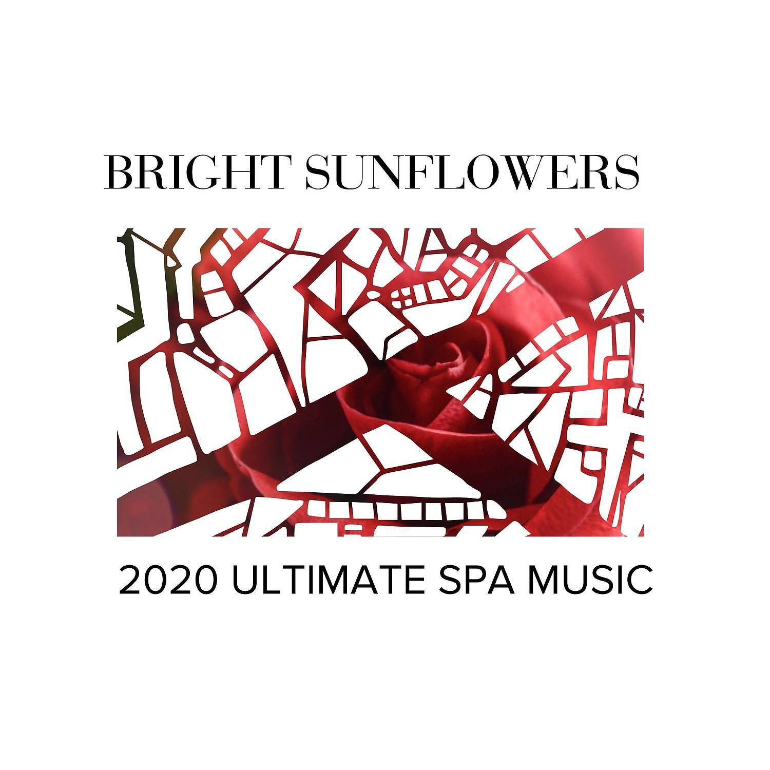 Постер альбома Bright Sunflowers - 2020 Ultimate Spa Music