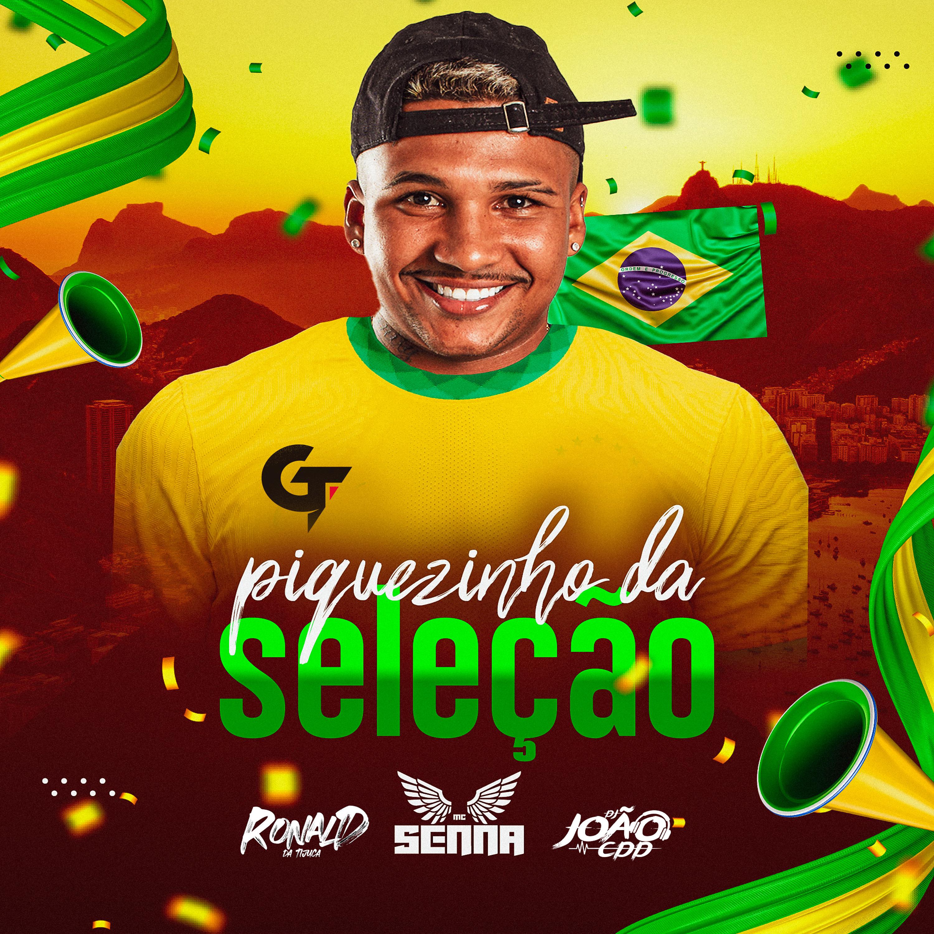 Постер альбома Piquezinho da Seleção