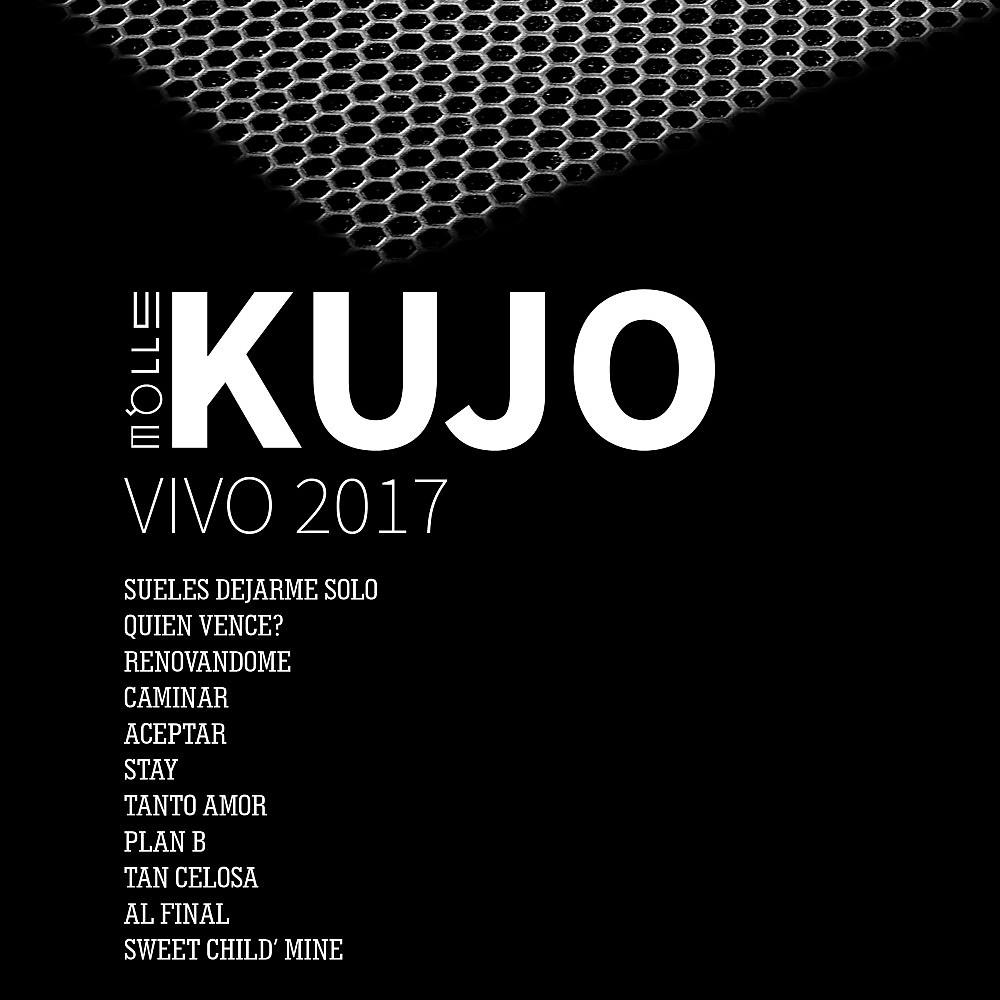 Постер альбома Vivo 2017
