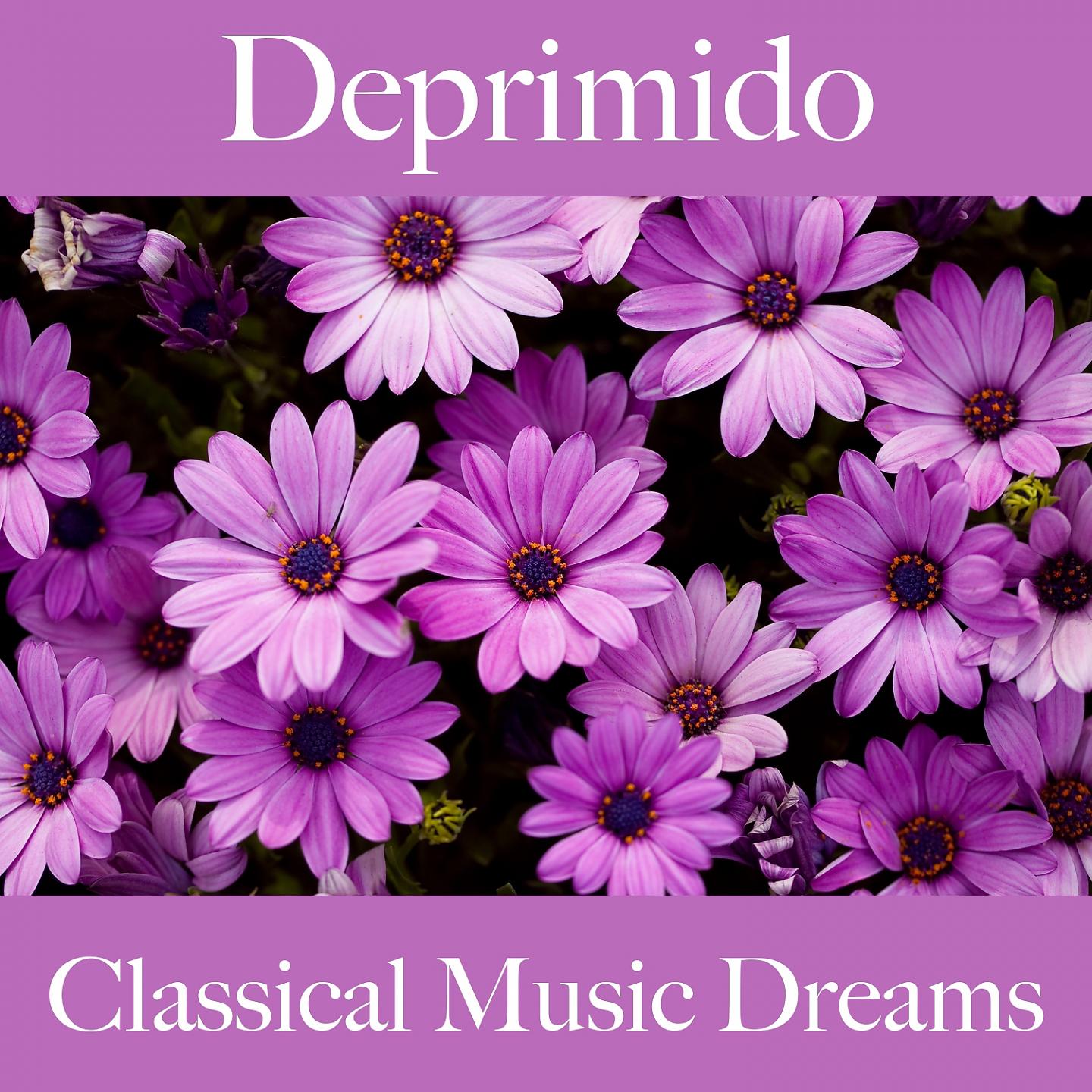 Постер альбома Deprimido: Classical Music Dreams - La Mejor Música Para Sentirse Mejor