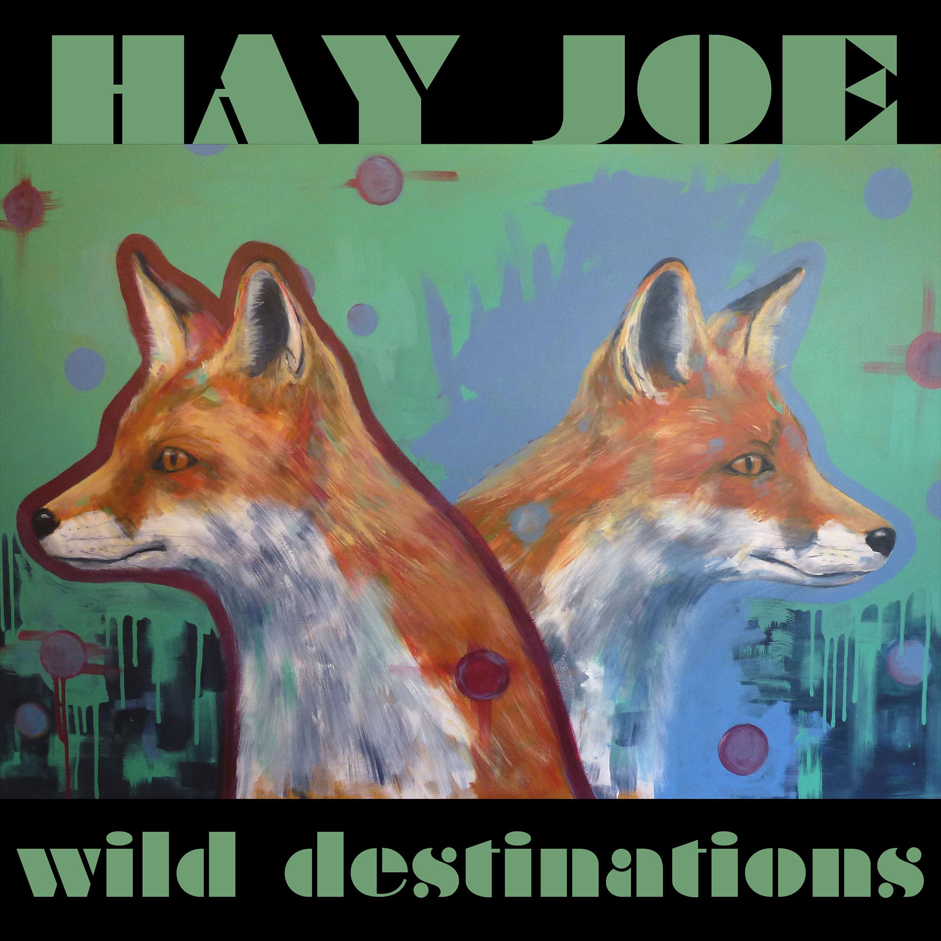 Постер альбома Wild Destinations