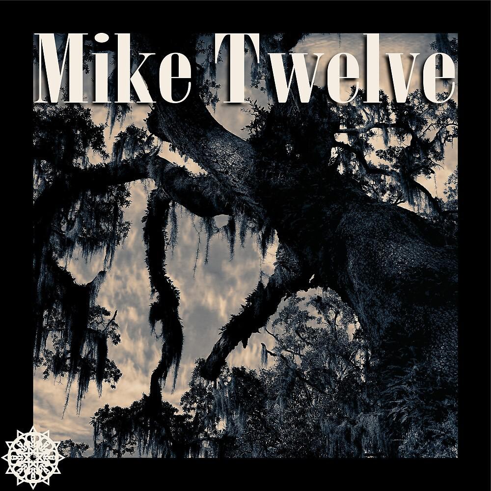 Постер альбома Mike Twelve