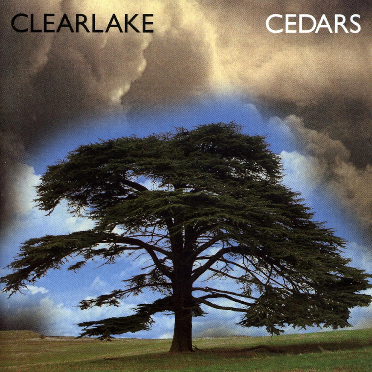 Постер альбома Cedars
