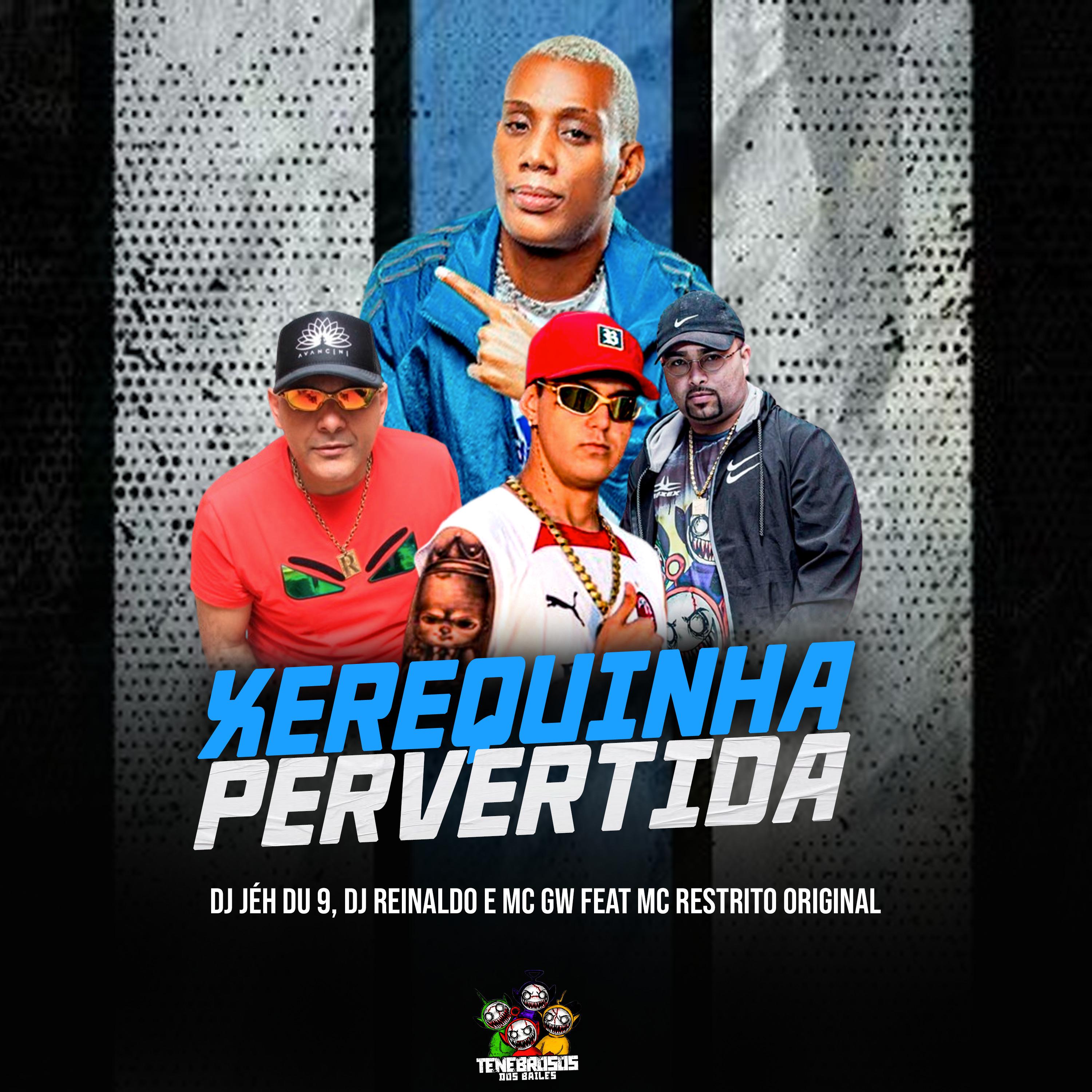 Постер альбома Xerequinha Pervertida