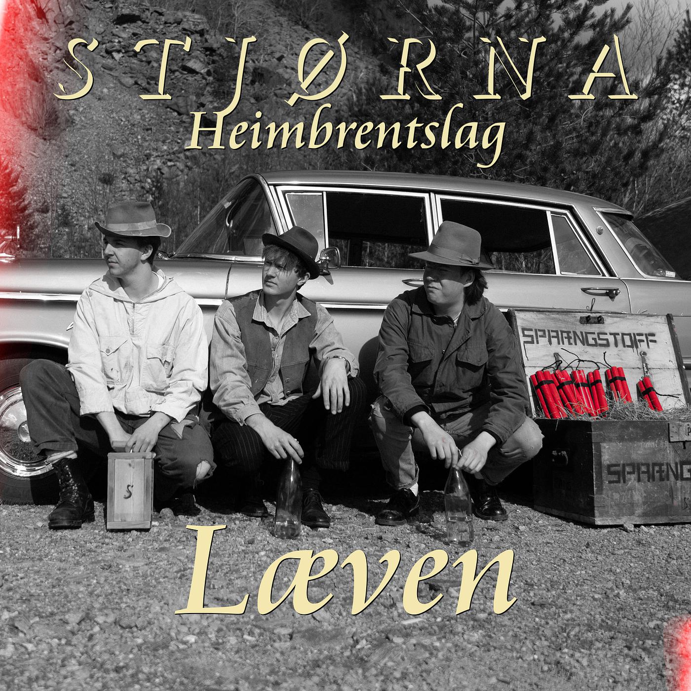 Постер альбома Læven