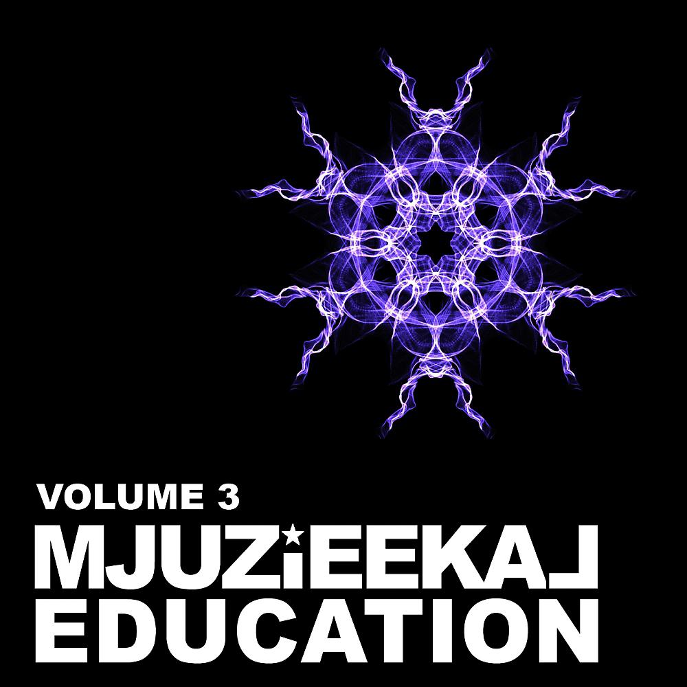 Постер альбома Mjuzieekal Education Volume 3