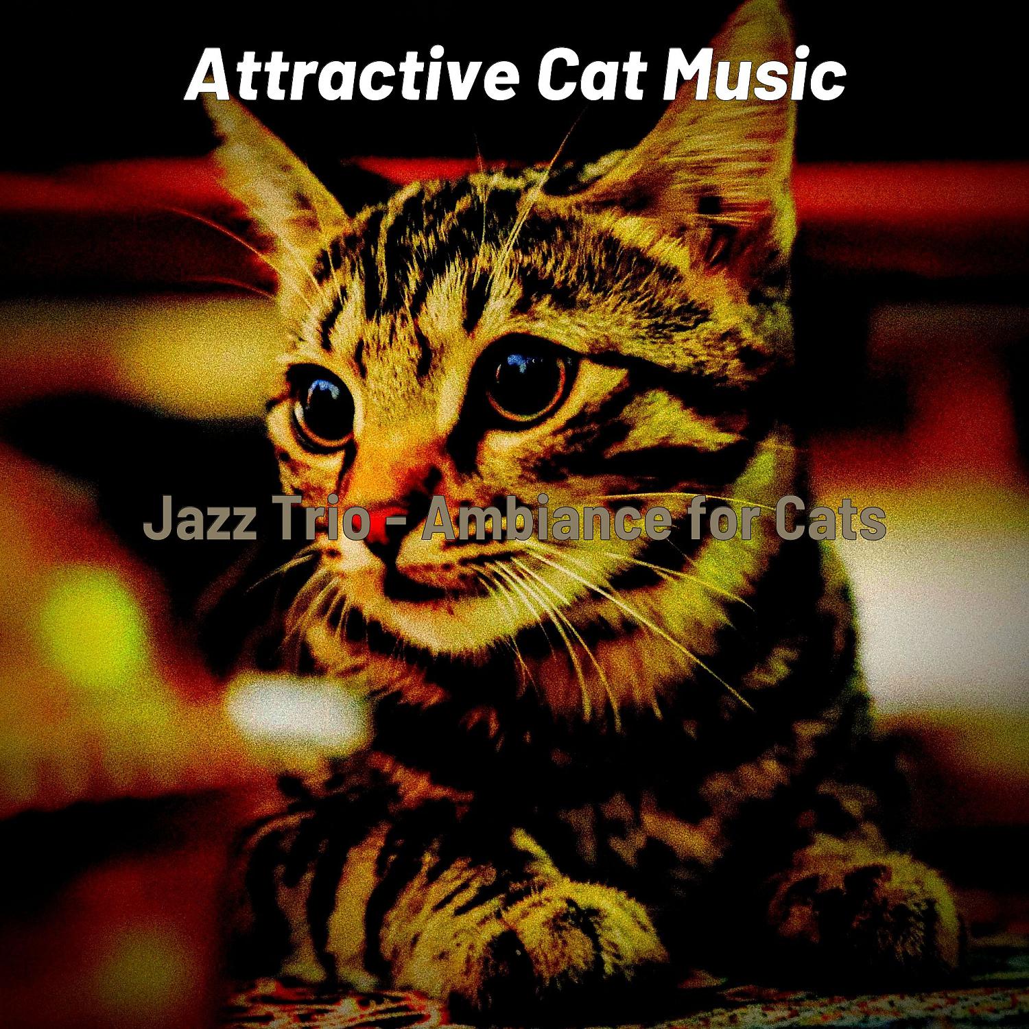 Постер альбома Jazz Trio - Ambiance for Cats