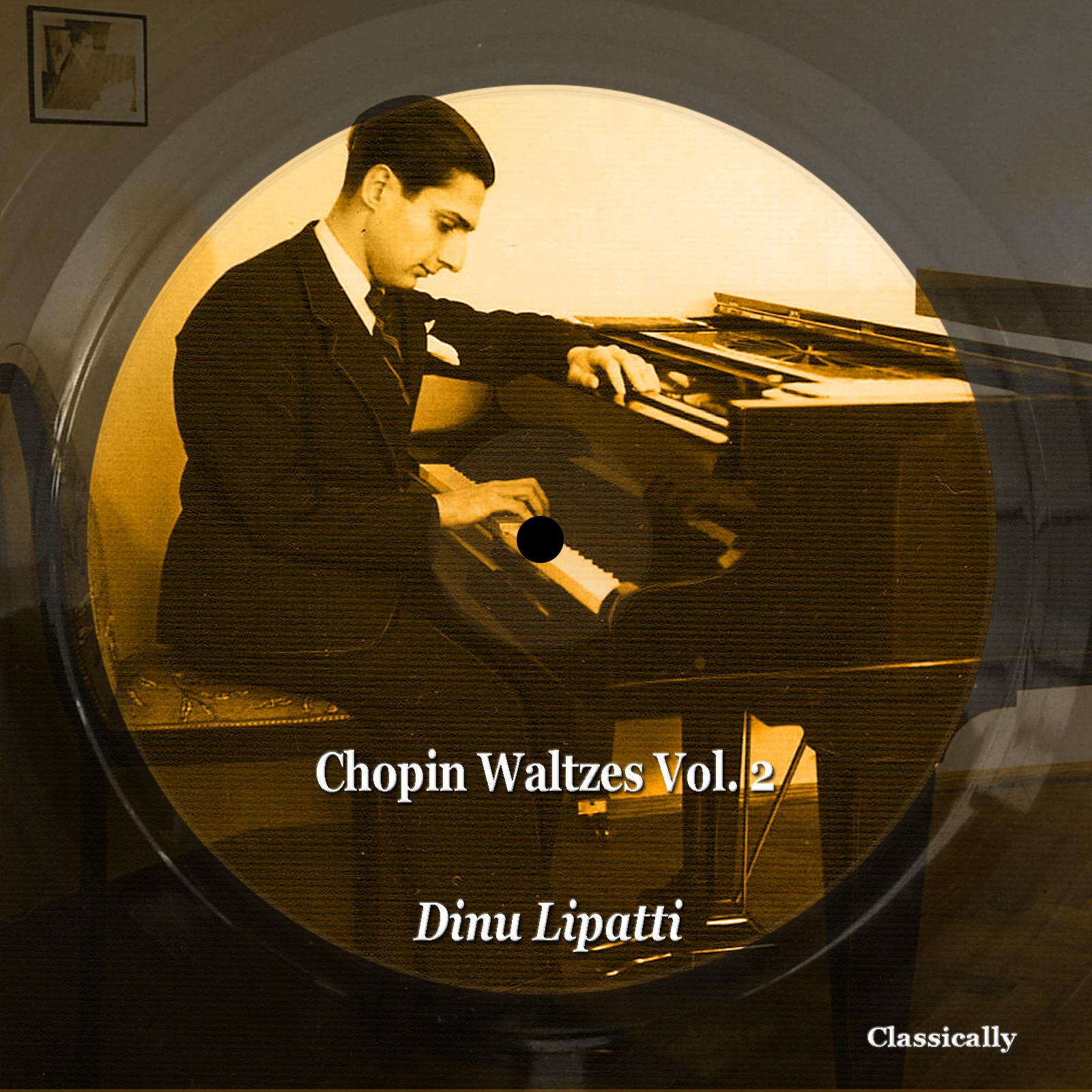 Постер альбома Chopin Waltzes, Vol. 2