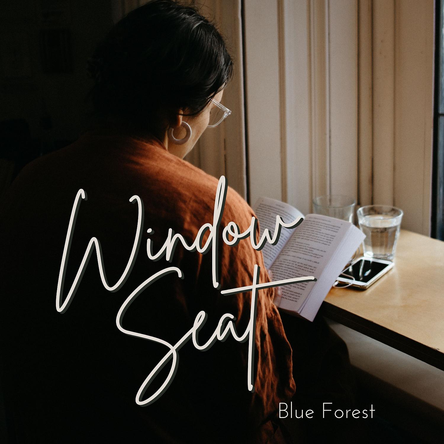 Постер альбома Window Seat