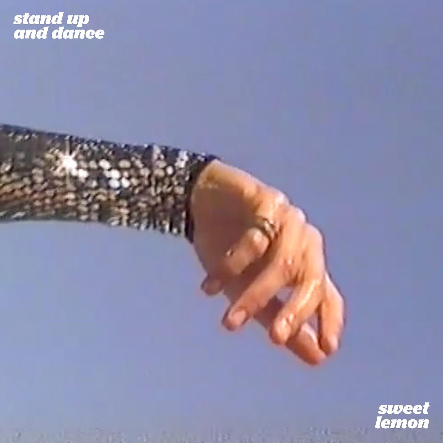 Постер альбома Stand up and Dance