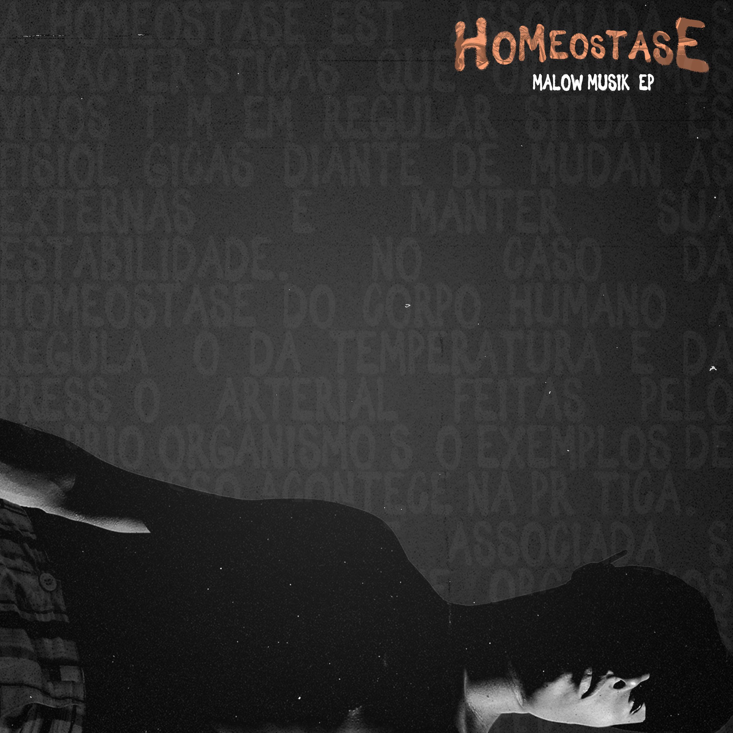 Постер альбома Homeostase