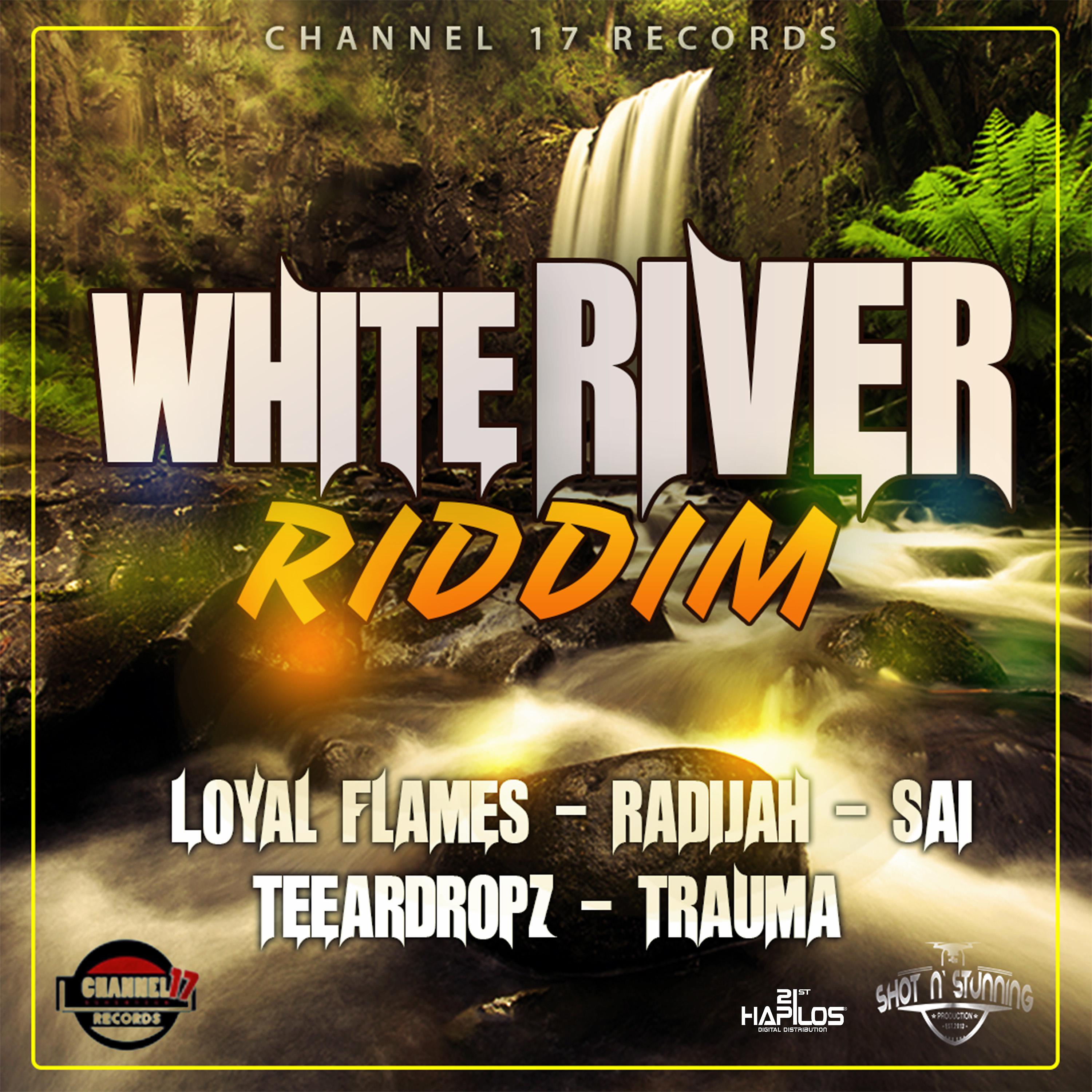 Постер альбома White River Riddim