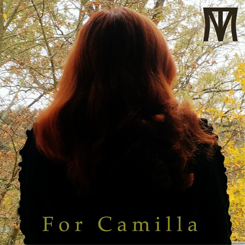 Постер альбома For Camilla