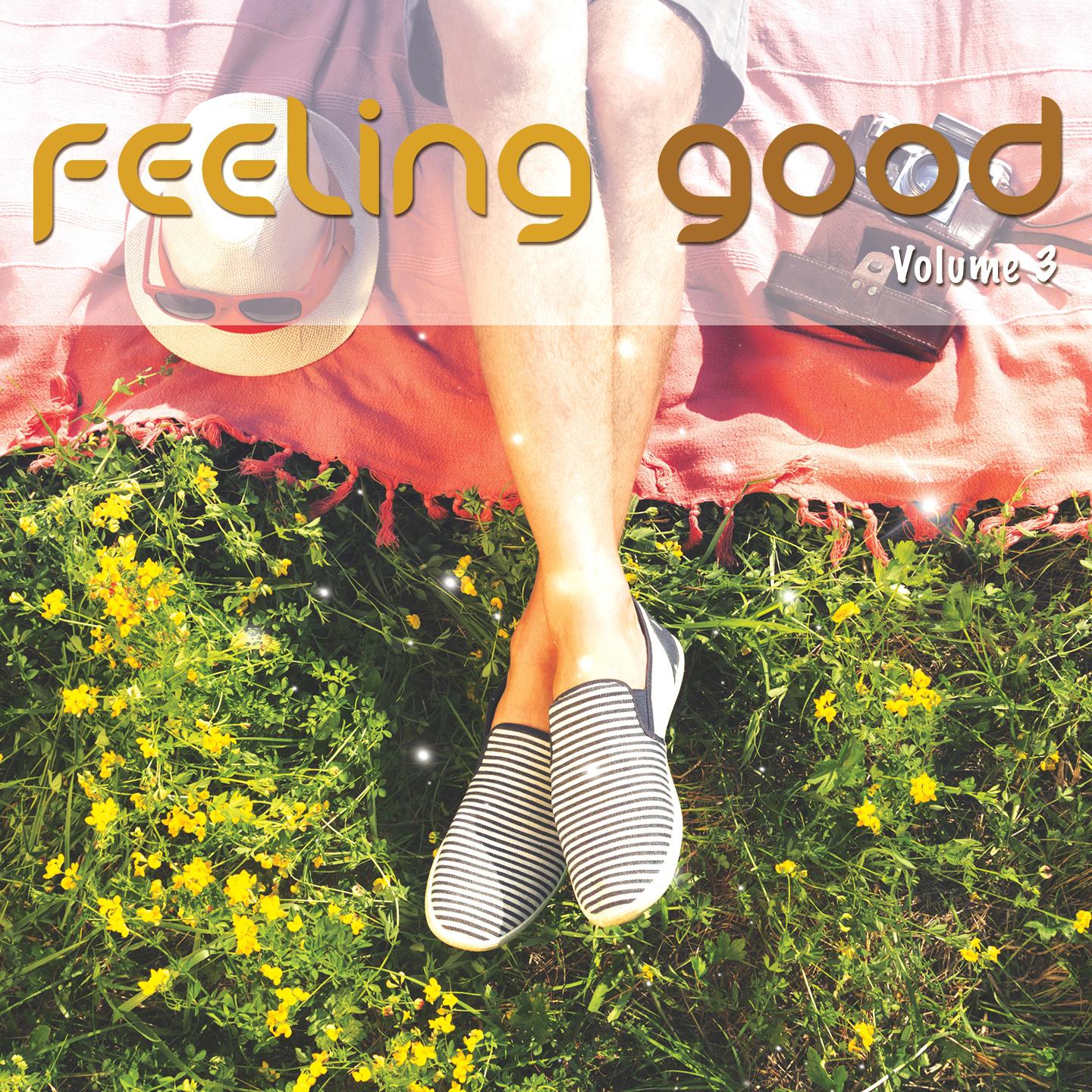 Постер альбома Feeling Good, Vol. 3