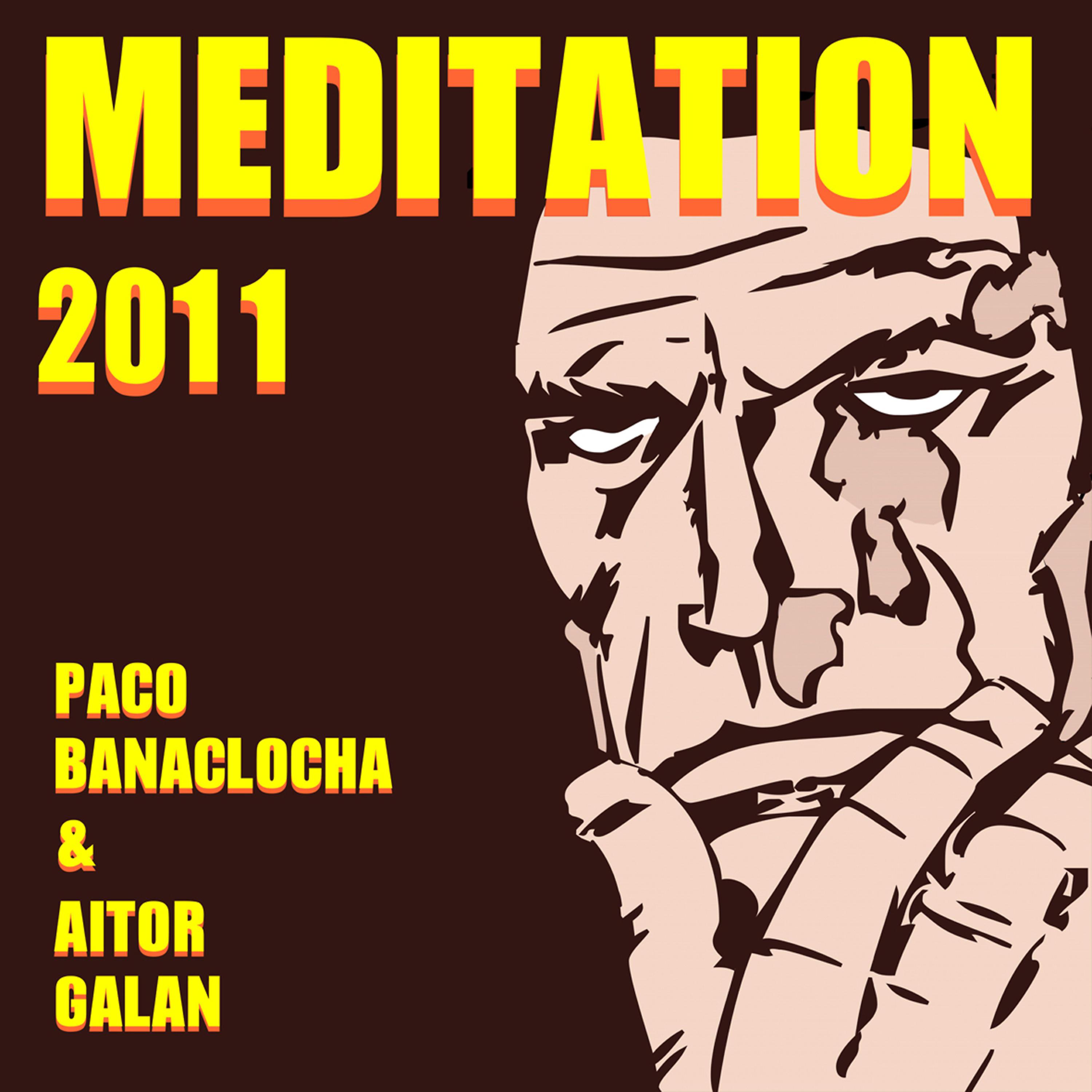 Постер альбома Meditation 2011