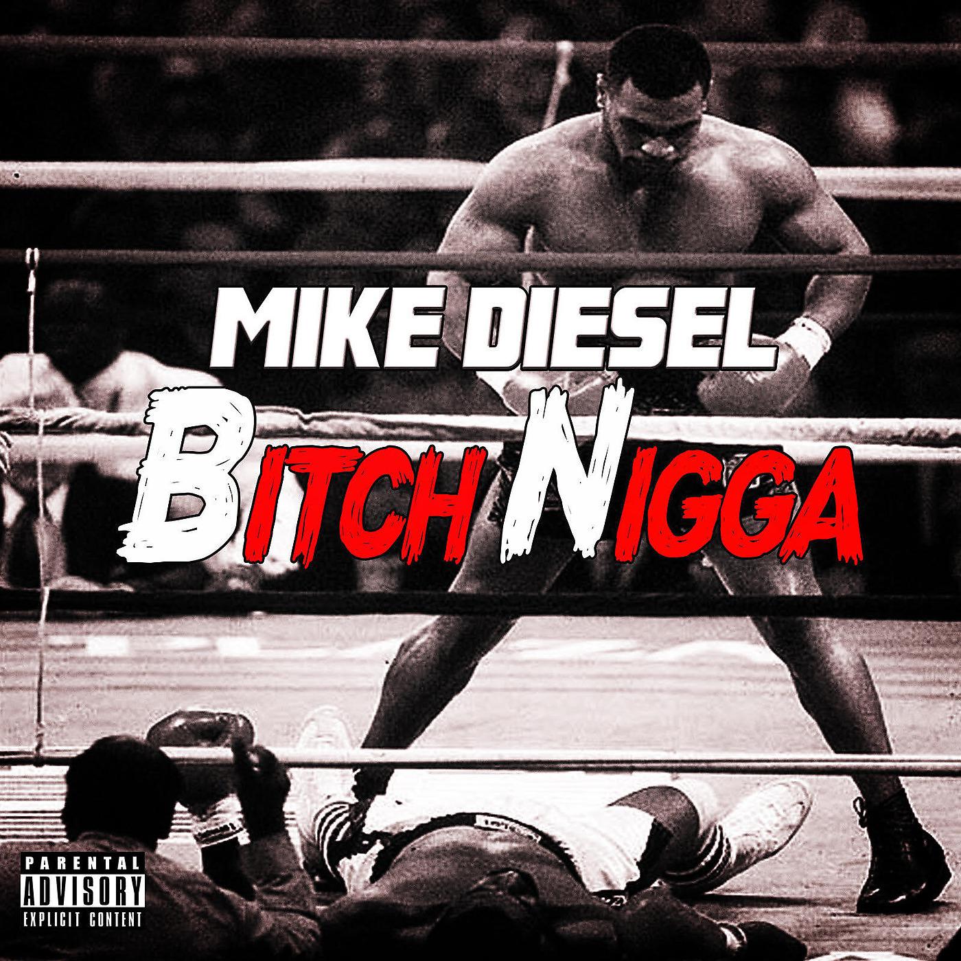 Постер альбома Bitch Nigga