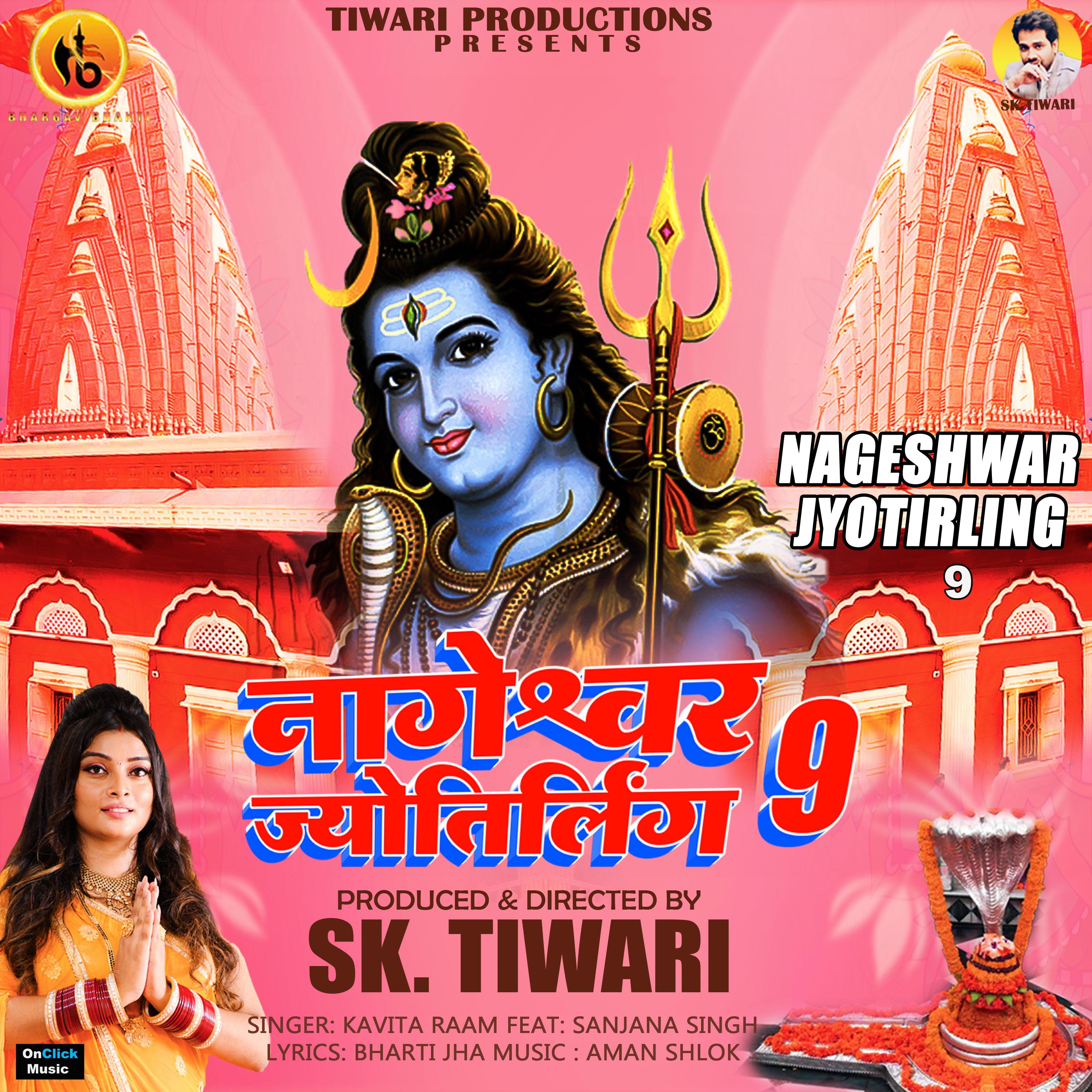 Постер альбома Nageshwar Jyotirling, Pt. 9