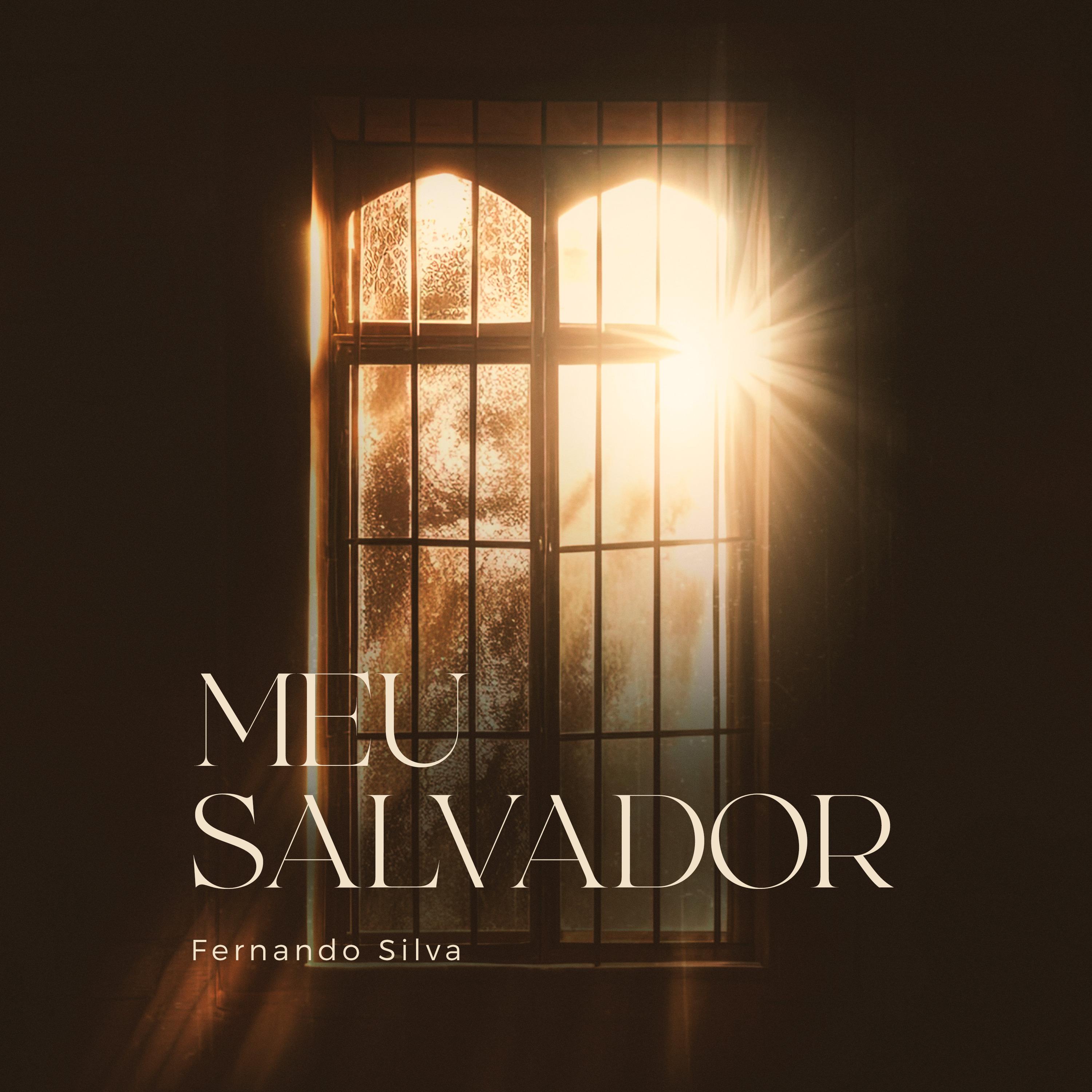 Постер альбома Meu Salvador