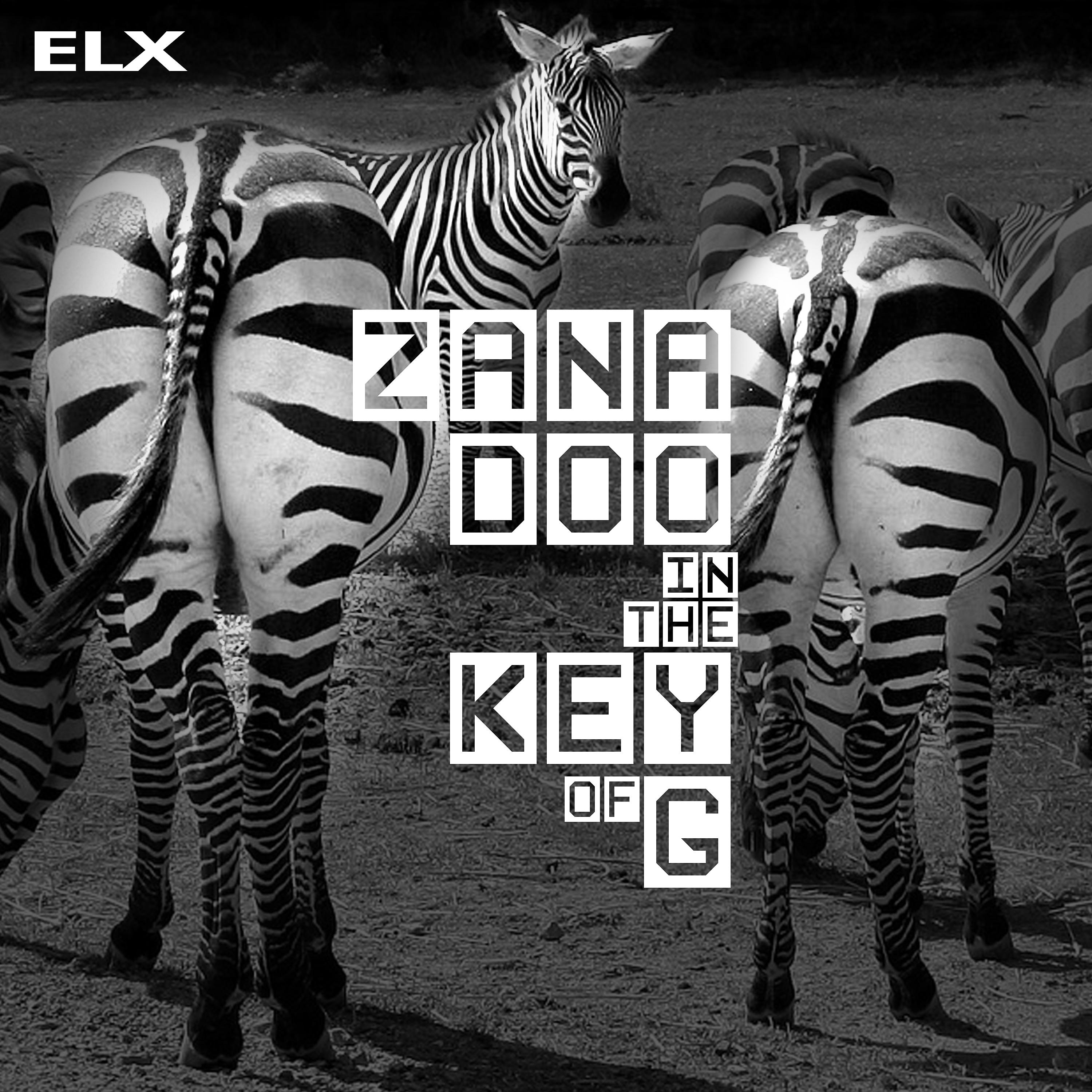Постер альбома Zanadoo in the Key of G