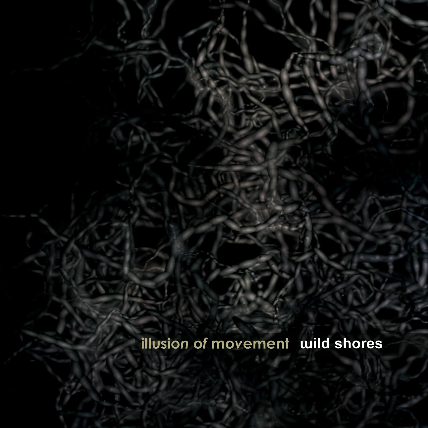 Постер альбома Illusion of movement
