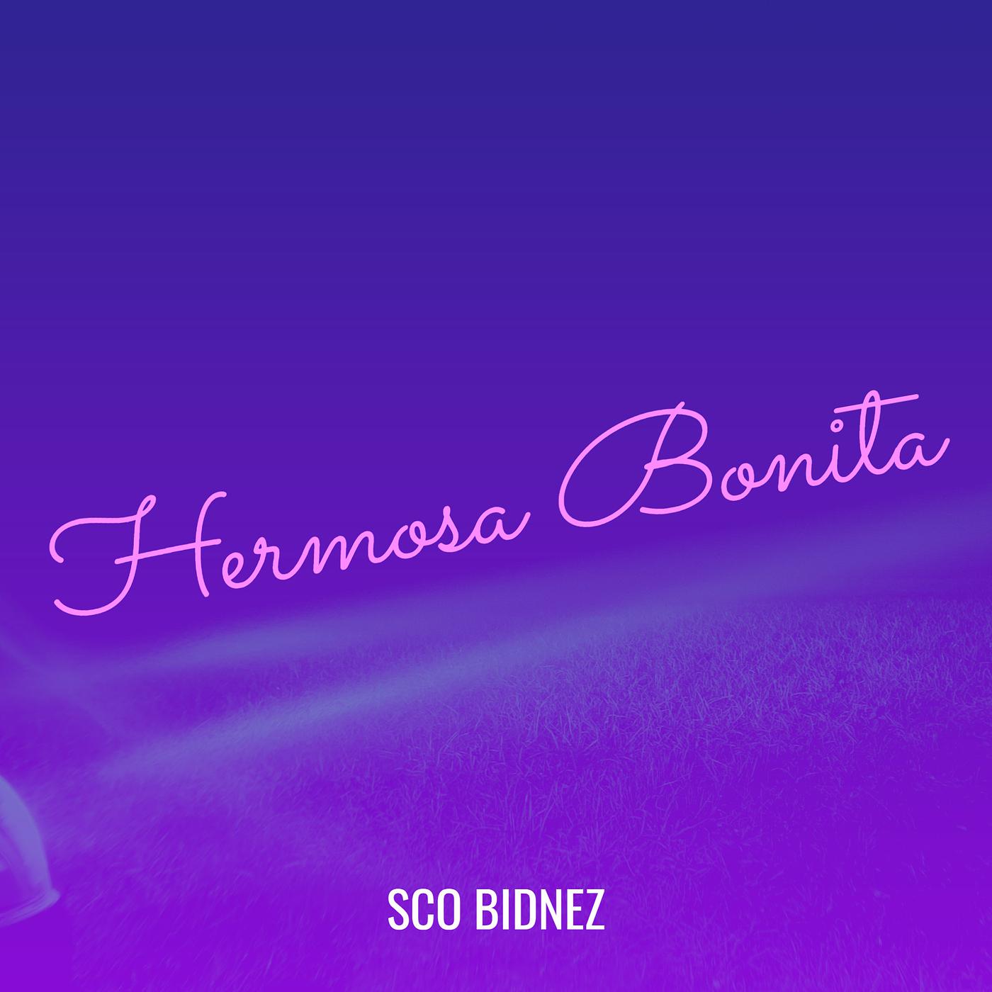 Постер альбома Hermosa Bonita