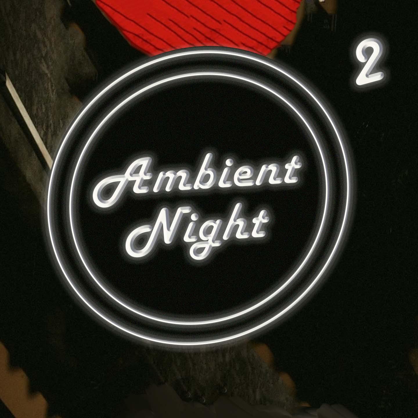 Постер альбома Ambient Nights 2